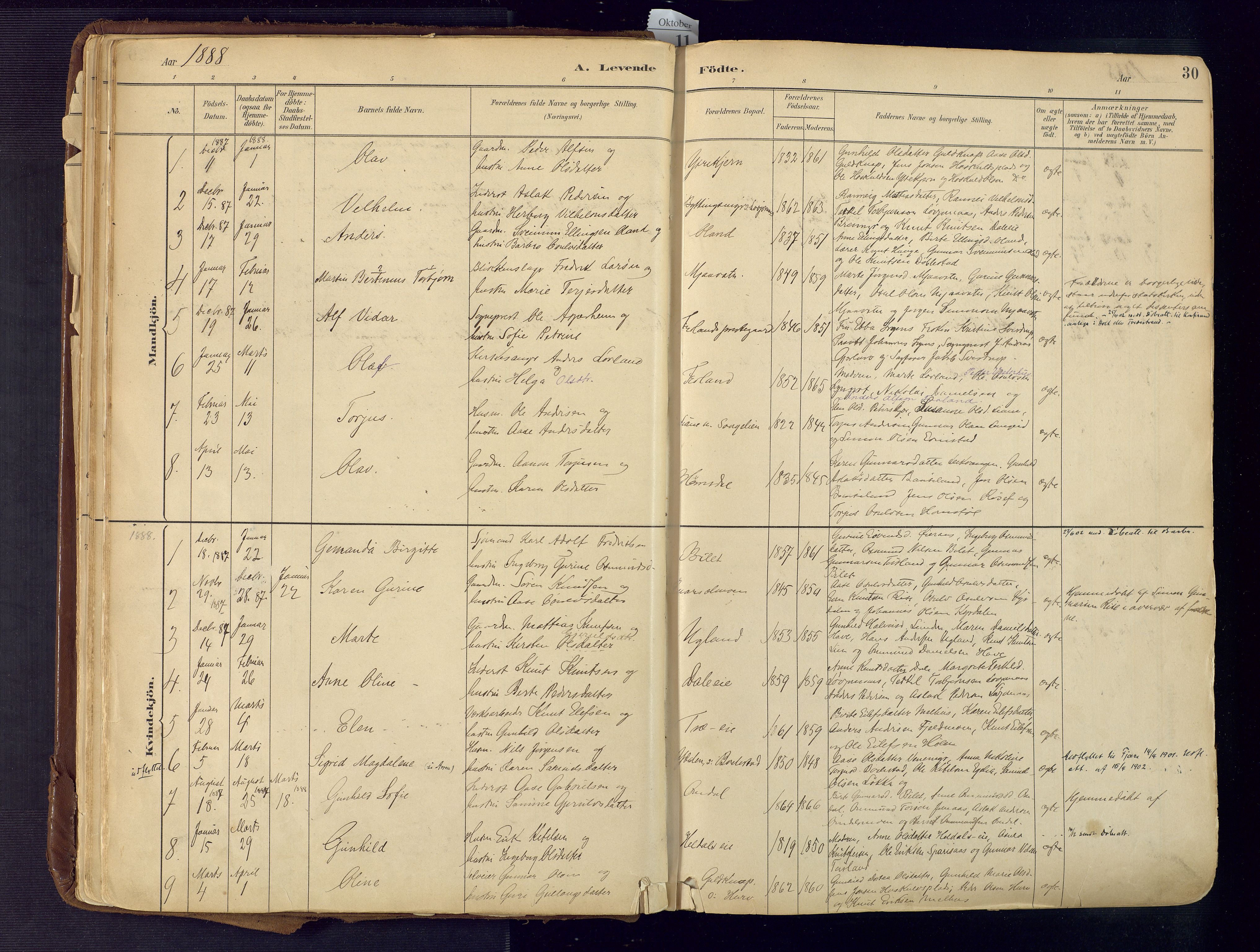 Froland sokneprestkontor, AV/SAK-1111-0013/F/Fa/L0005: Parish register (official) no. A 5, 1882-1921, p. 30