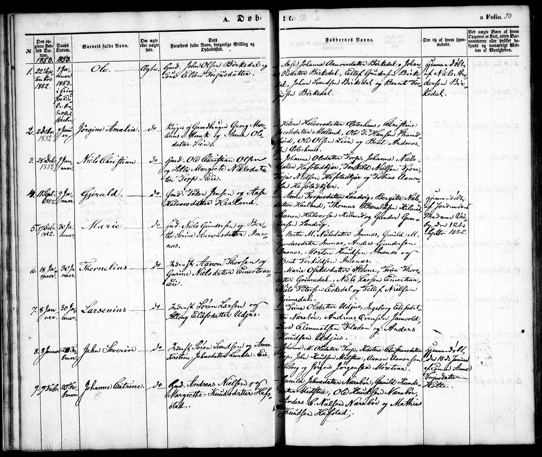 Hommedal sokneprestkontor, AV/SAK-1111-0023/F/Fa/Fab/L0004: Parish register (official) no. A 4, 1848-1860, p. 20