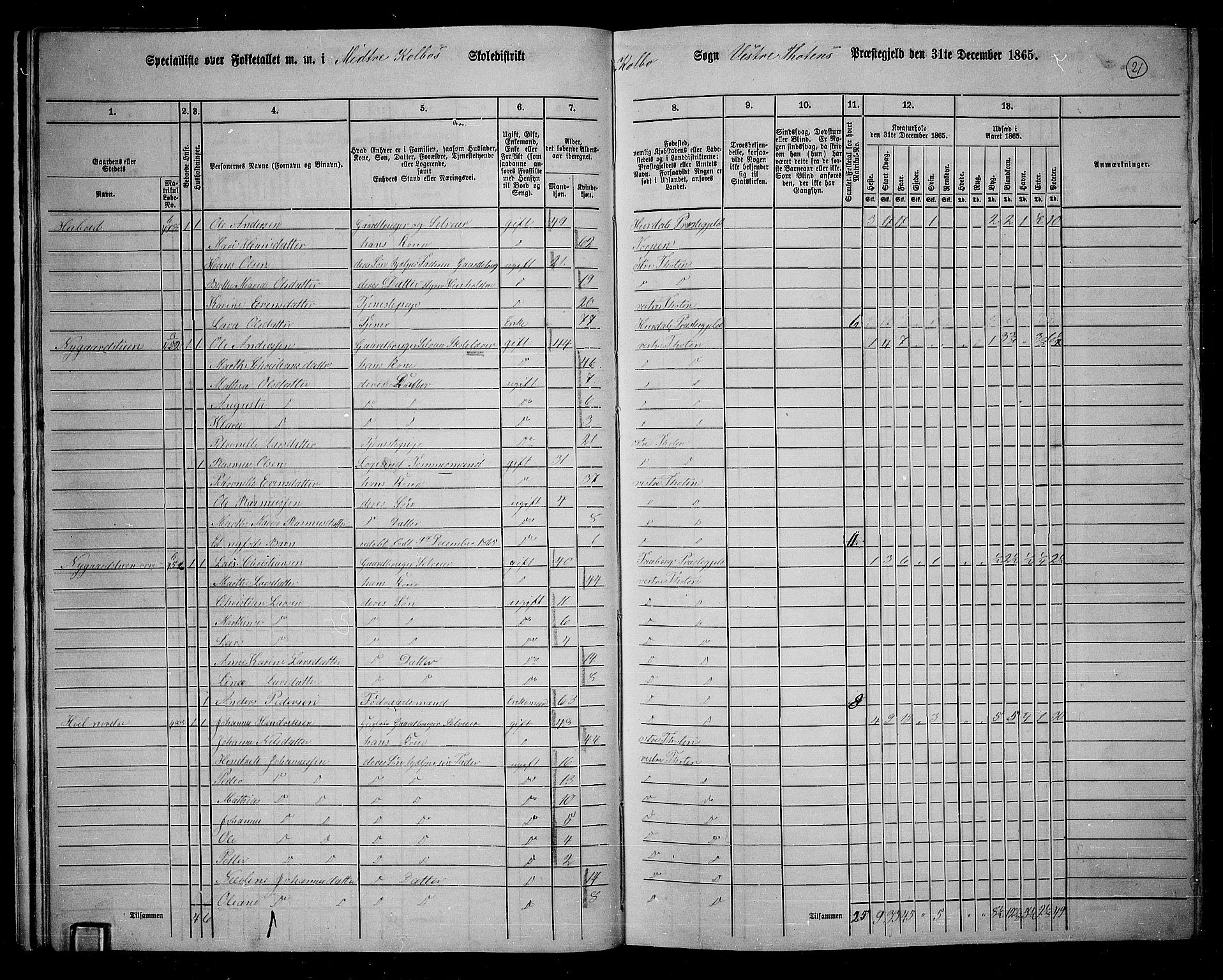 RA, 1865 census for Vestre Toten, 1865, p. 185