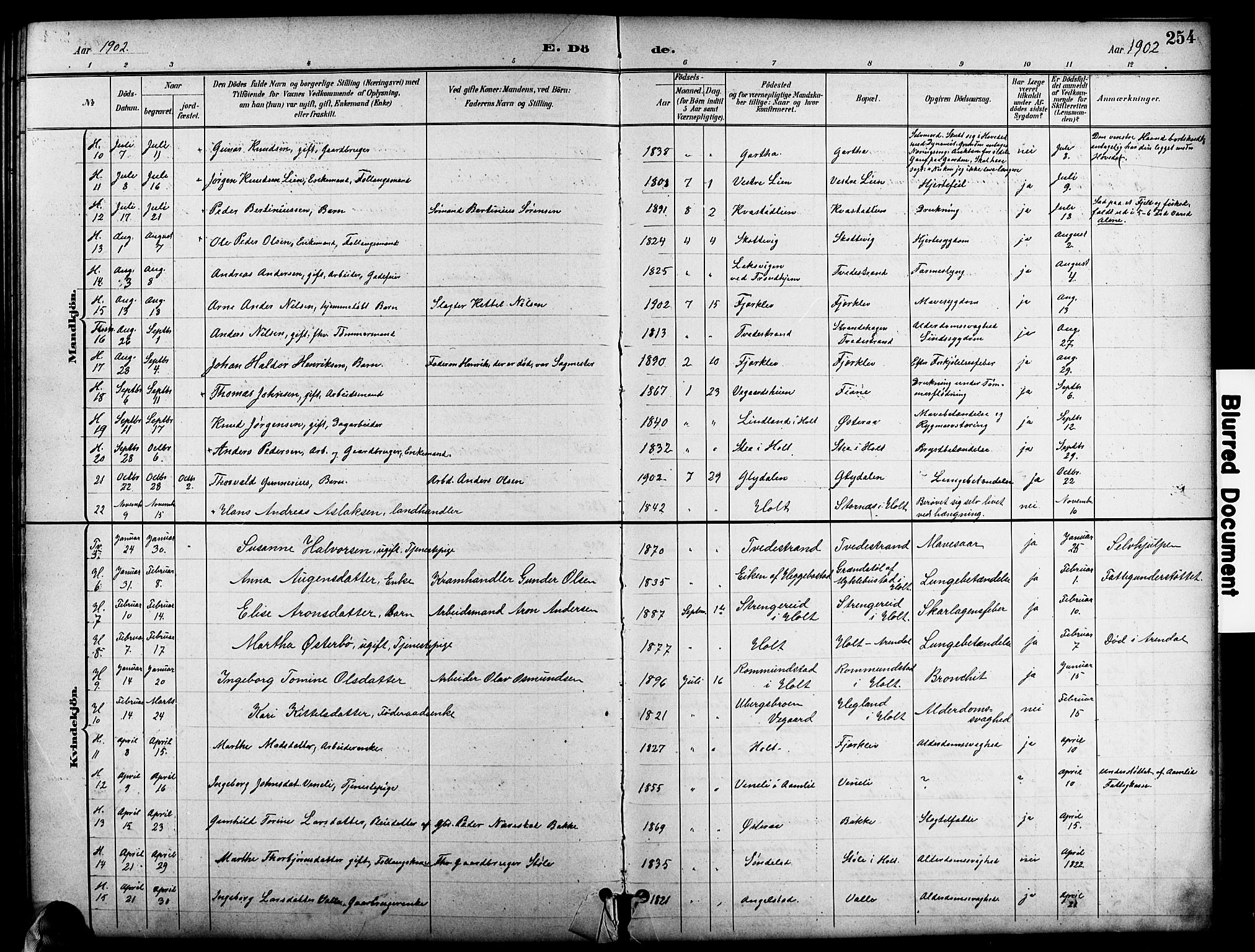 Holt sokneprestkontor, SAK/1111-0021/F/Fb/L0011: Parish register (copy) no. B 11, 1897-1921, p. 254
