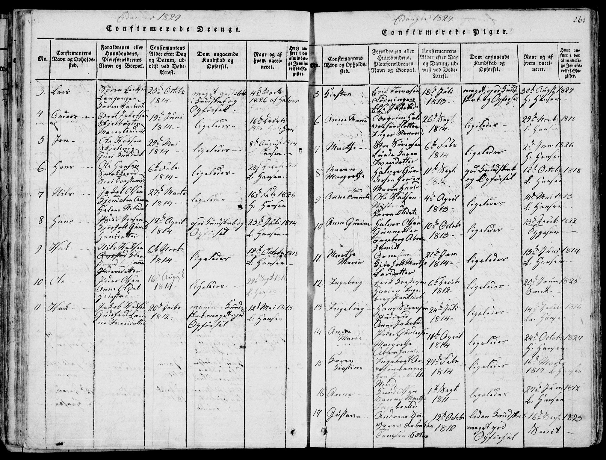 Eidanger kirkebøker, SAKO/A-261/F/Fa/L0007: Parish register (official) no. 7, 1814-1831, p. 263