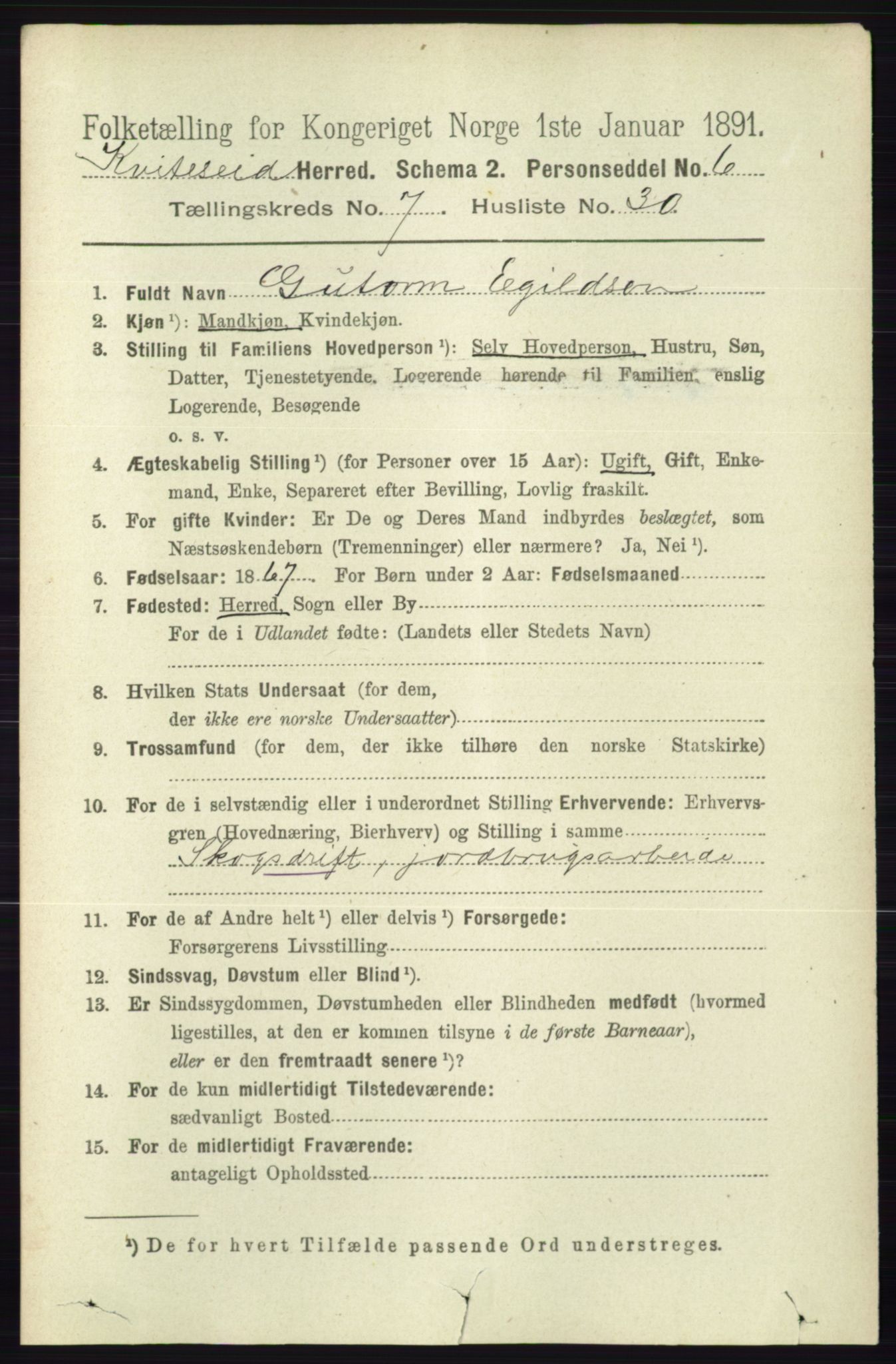 RA, 1891 census for 0829 Kviteseid, 1891, p. 1531