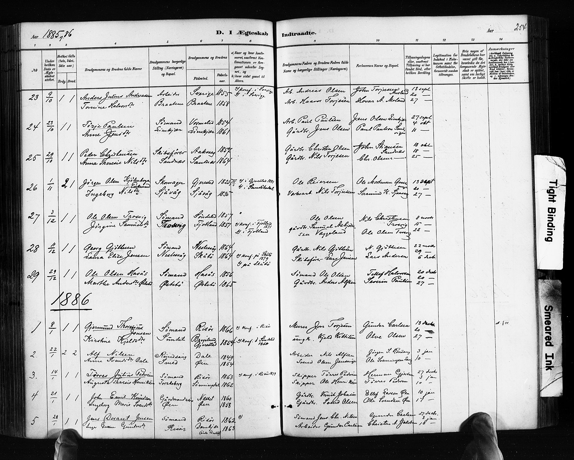 Søndeled sokneprestkontor, SAK/1111-0038/F/Fa/L0004: Parish register (official) no. A 4, 1880-1889, p. 254