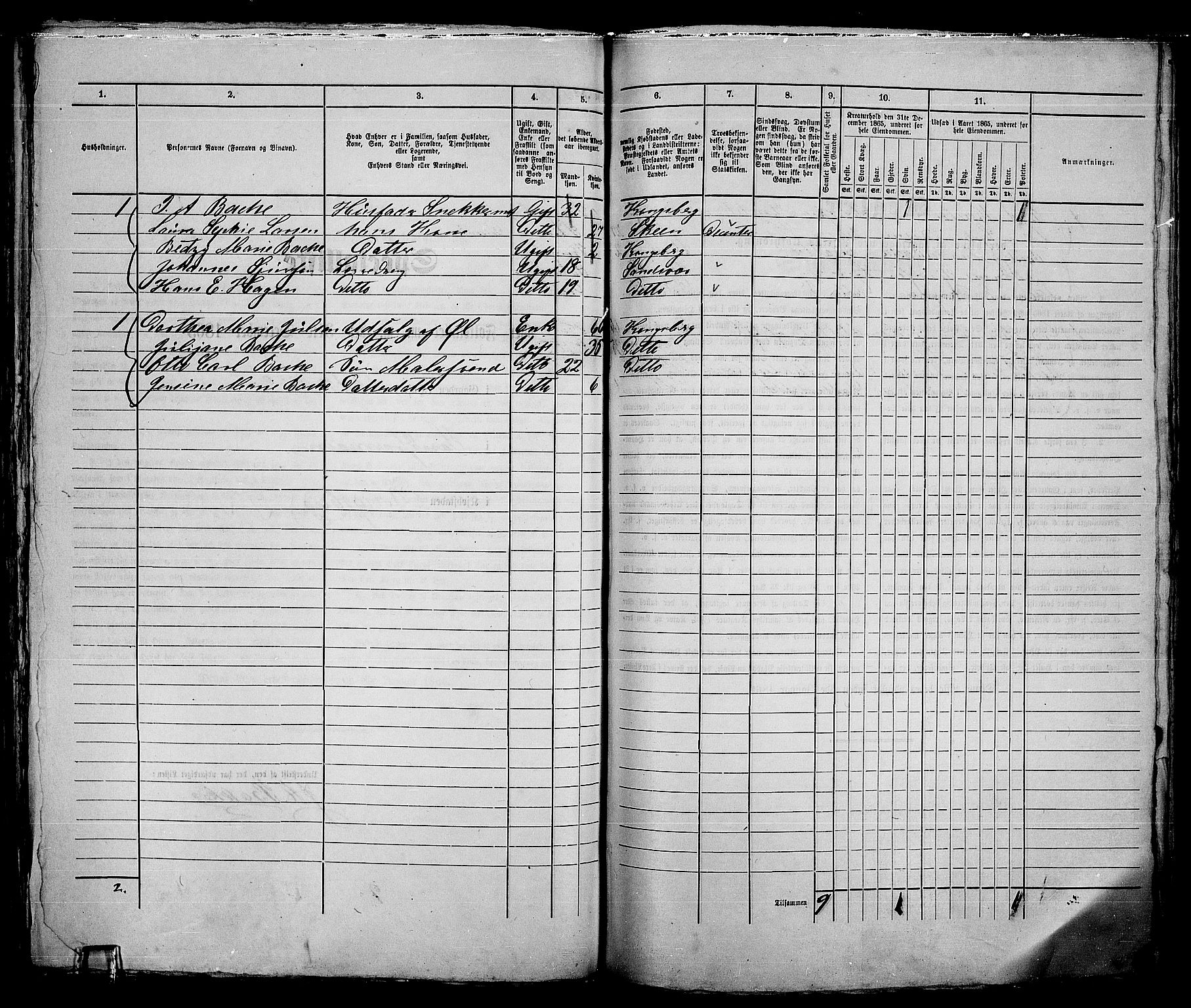 RA, 1865 census for Kongsberg/Kongsberg, 1865, p. 377