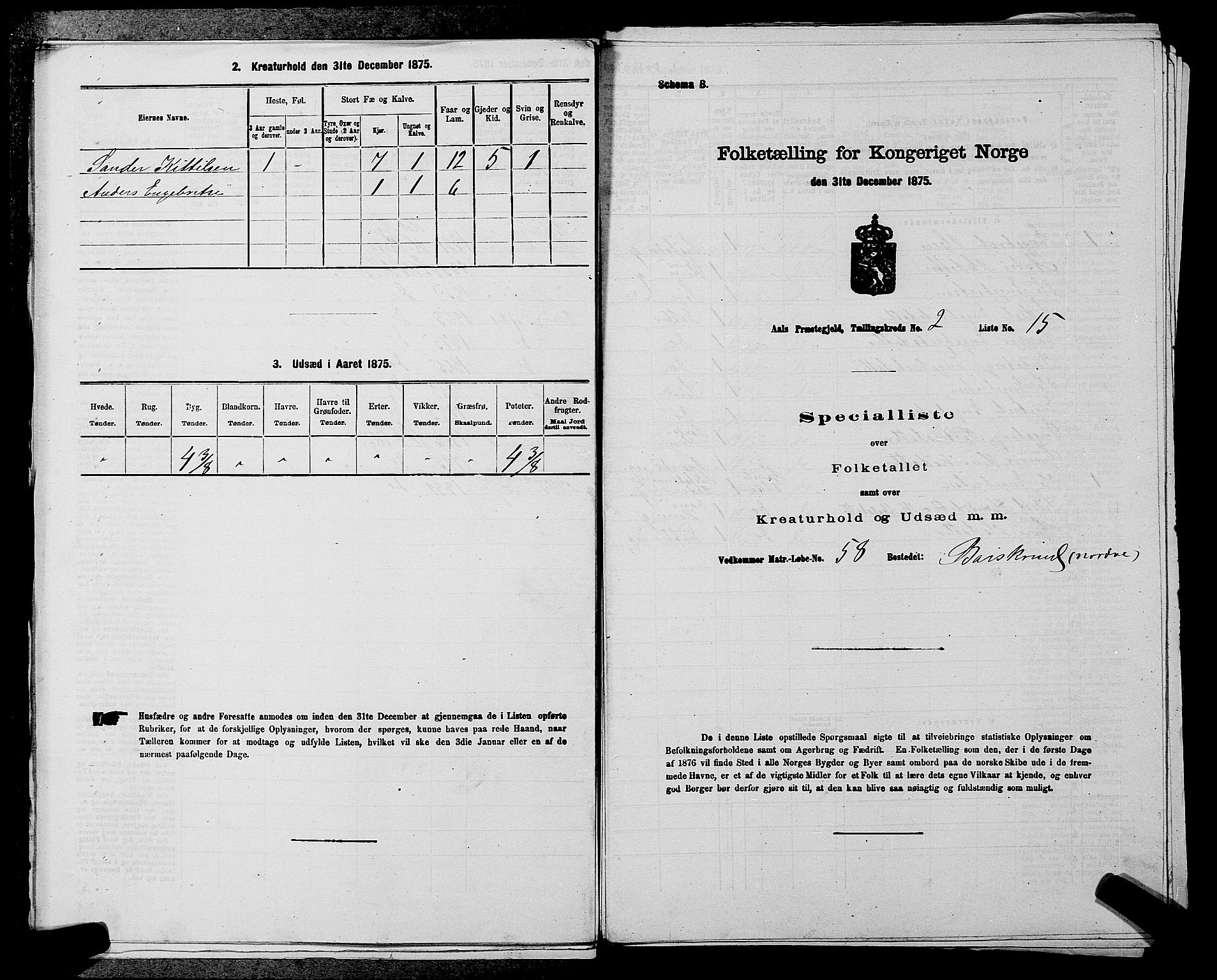SAKO, 1875 census for 0619P Ål, 1875, p. 224
