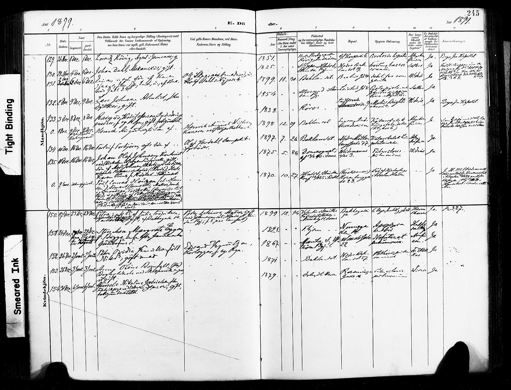 Ministerialprotokoller, klokkerbøker og fødselsregistre - Sør-Trøndelag, SAT/A-1456/604/L0198: Parish register (official) no. 604A19, 1893-1900, p. 245