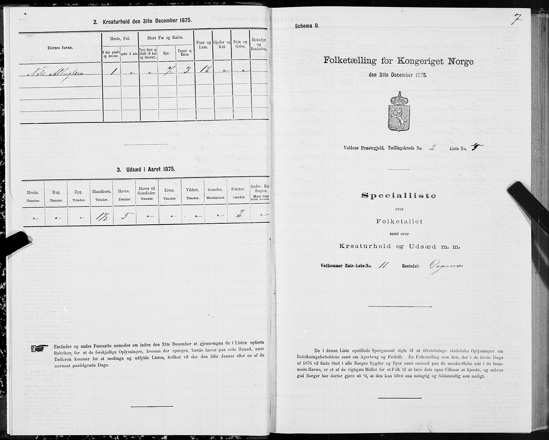 SAT, 1875 census for 1519P Volda, 1875, p. 2007