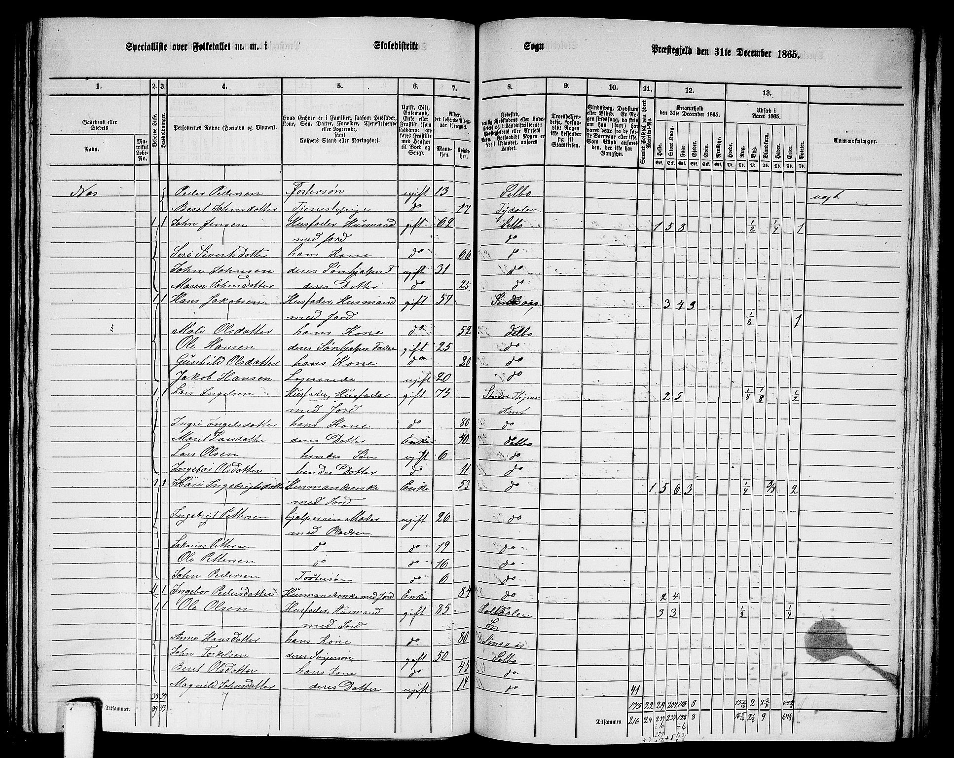 RA, 1865 census for Selbu, 1865, p. 154