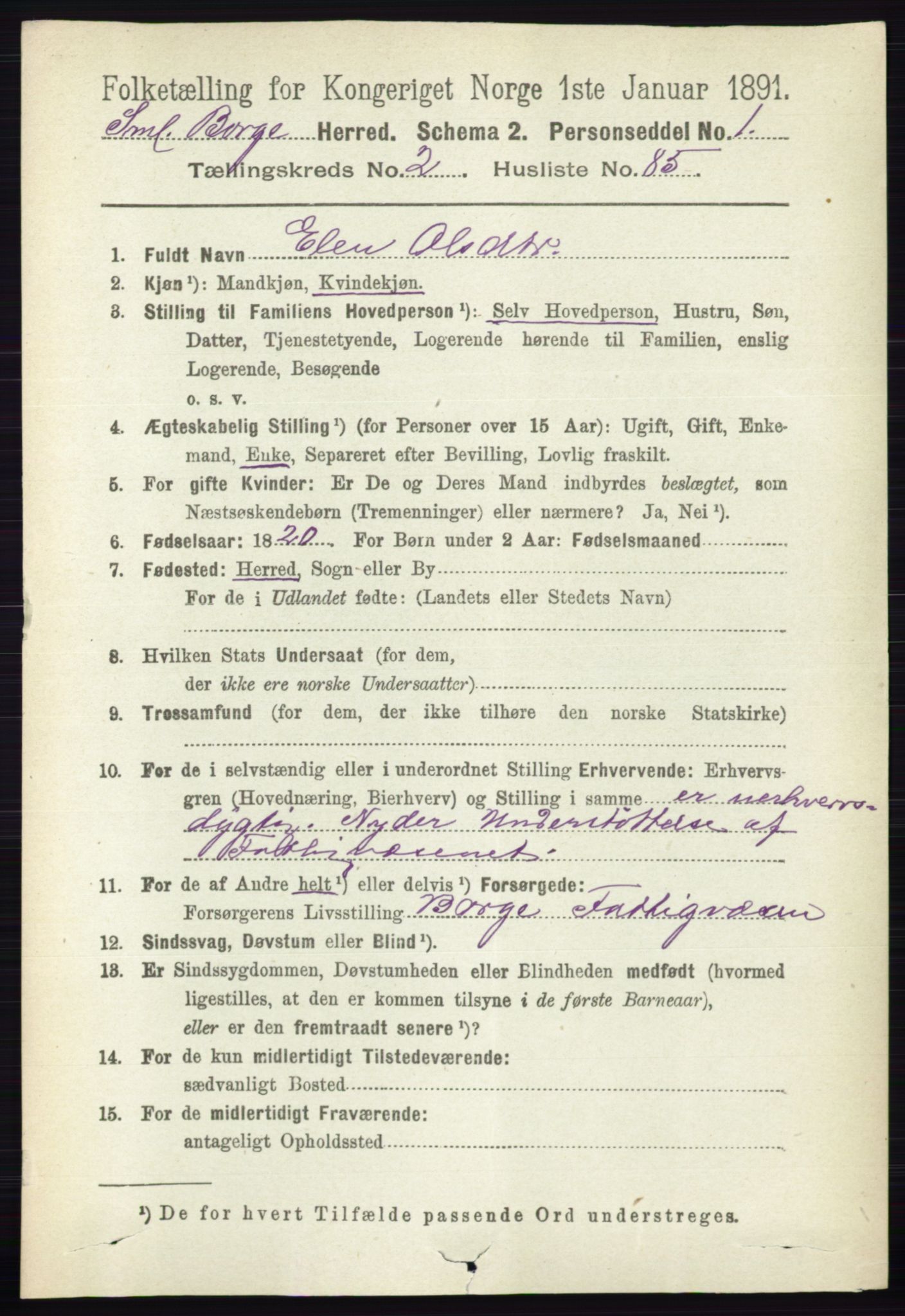 RA, 1891 census for 0113 Borge, 1891, p. 1343