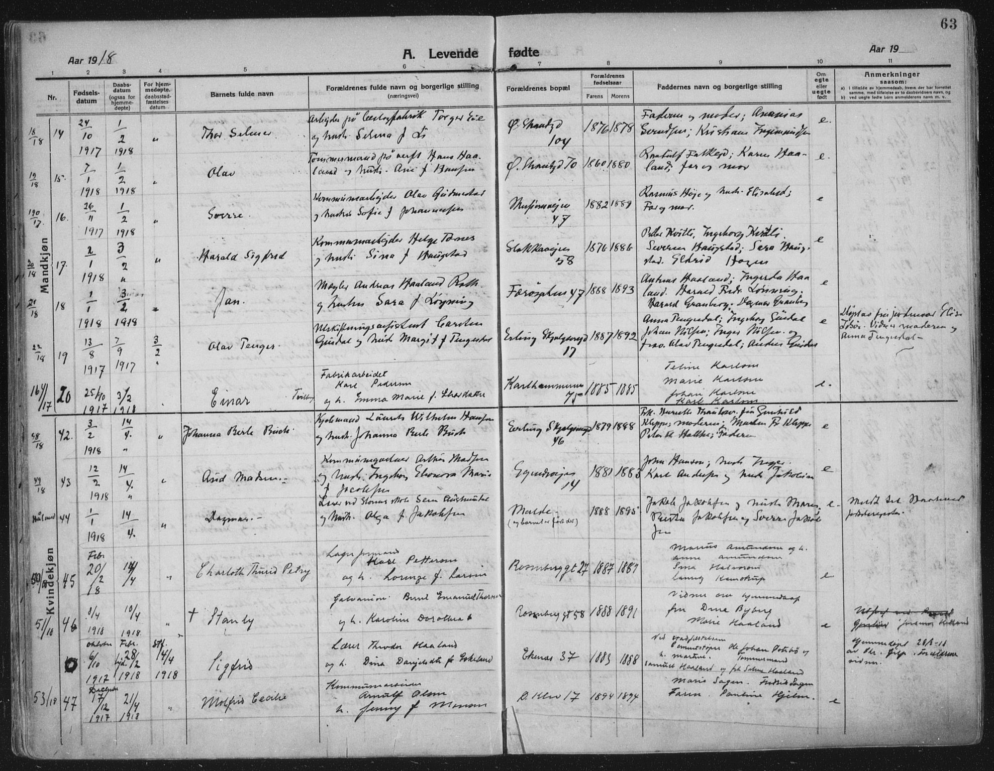 Domkirken sokneprestkontor, AV/SAST-A-101812/002/A/L0018: Parish register (official) no. A 34, 1915-1929, p. 63