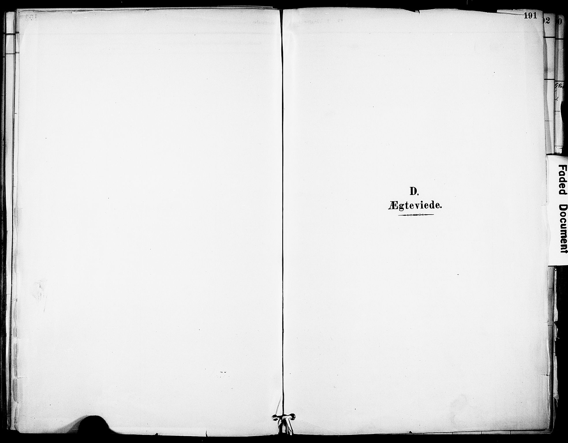 Solum kirkebøker, SAKO/A-306/F/Fa/L0010: Parish register (official) no. I 10, 1888-1898, p. 191