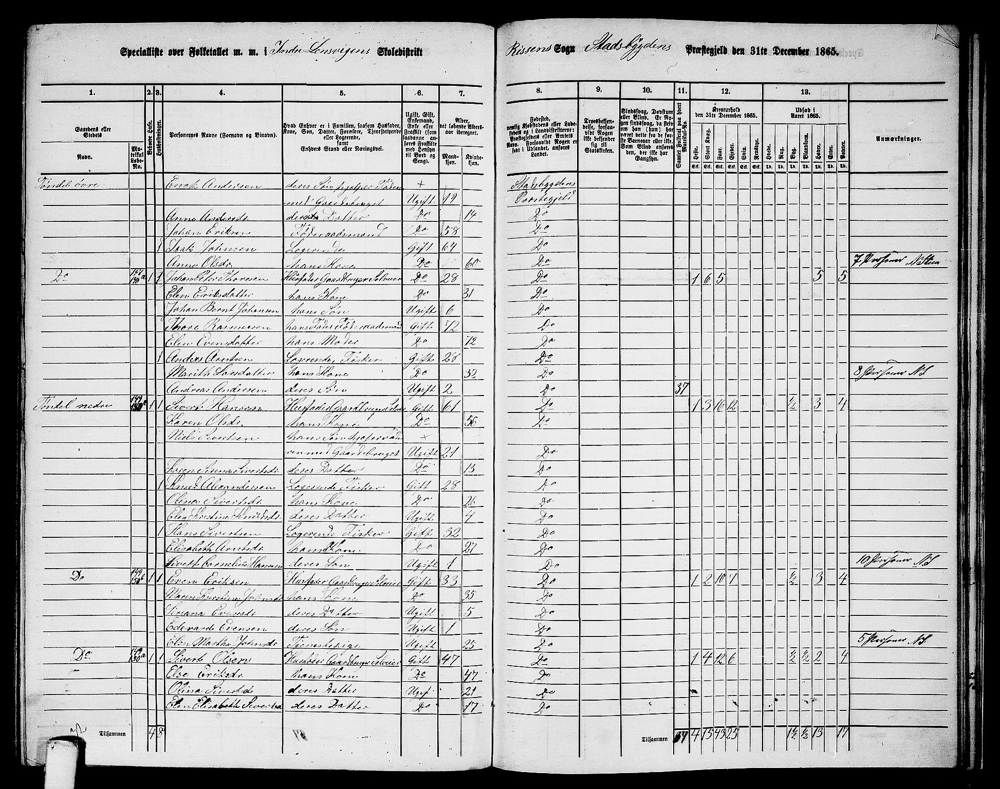 RA, 1865 census for Stadsbygd, 1865, p. 191