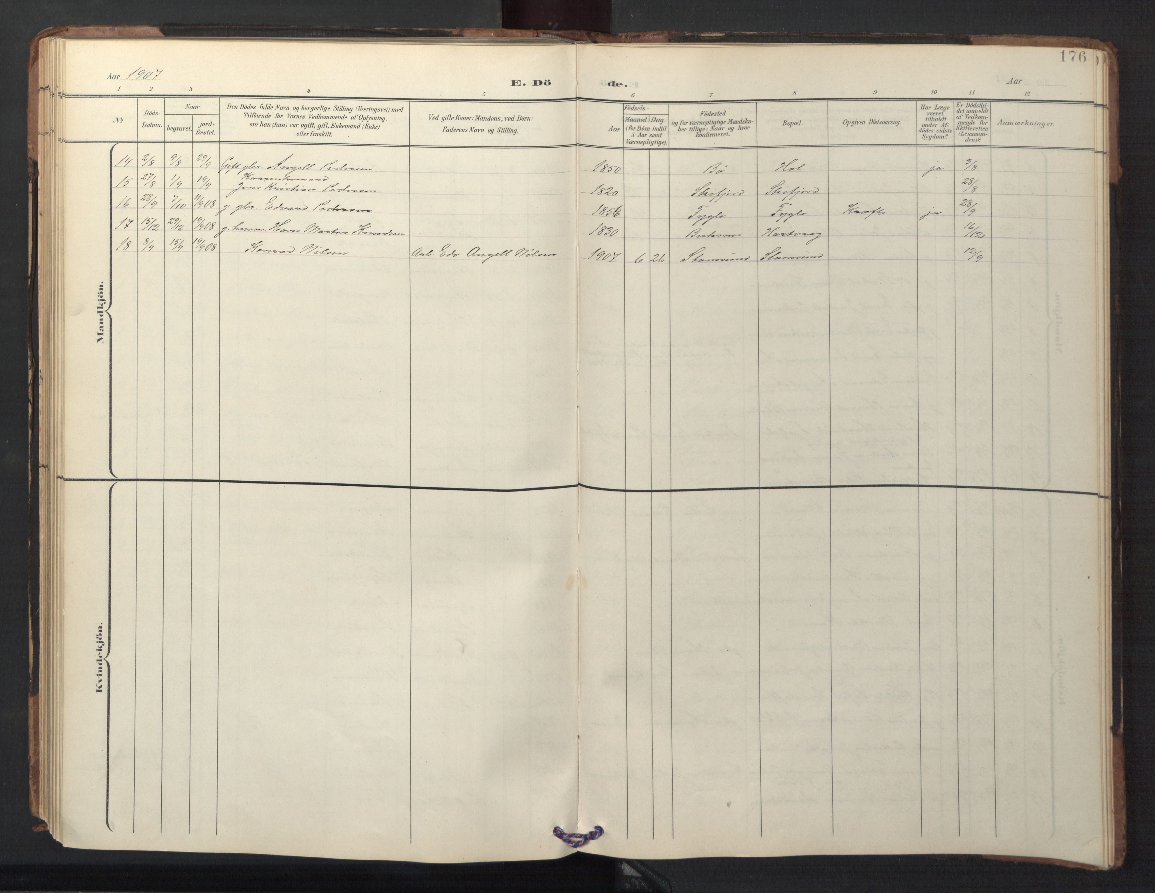 Ministerialprotokoller, klokkerbøker og fødselsregistre - Nordland, AV/SAT-A-1459/882/L1185: Parish register (copy) no. 882C03, 1898-1910, p. 176