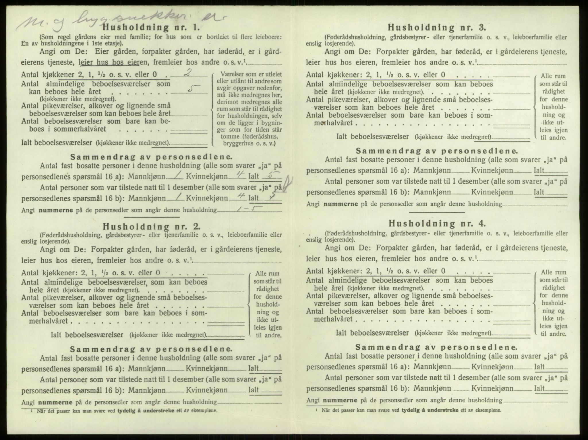 SAO, 1920 census for Berg, 1920, p. 254