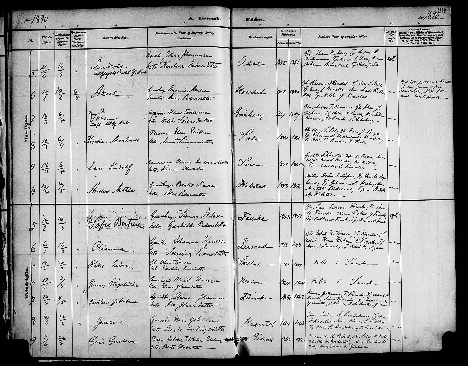 Gaular sokneprestembete, AV/SAB-A-80001/H/Haa: Parish register (official) no. C 1, 1882-1897, p. 29