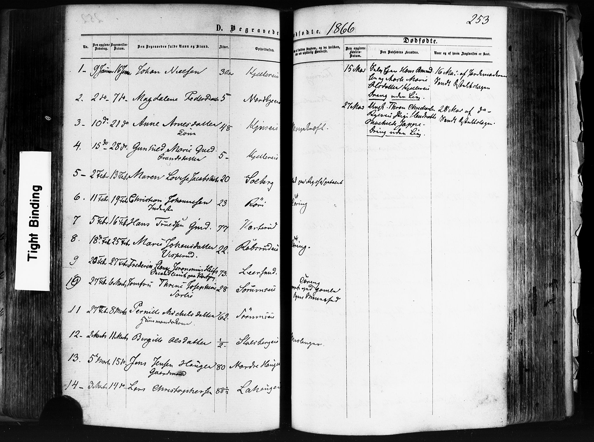 Skedsmo prestekontor Kirkebøker, SAO/A-10033a/F/Fa/L0011: Parish register (official) no. I 11, 1866-1876, p. 253