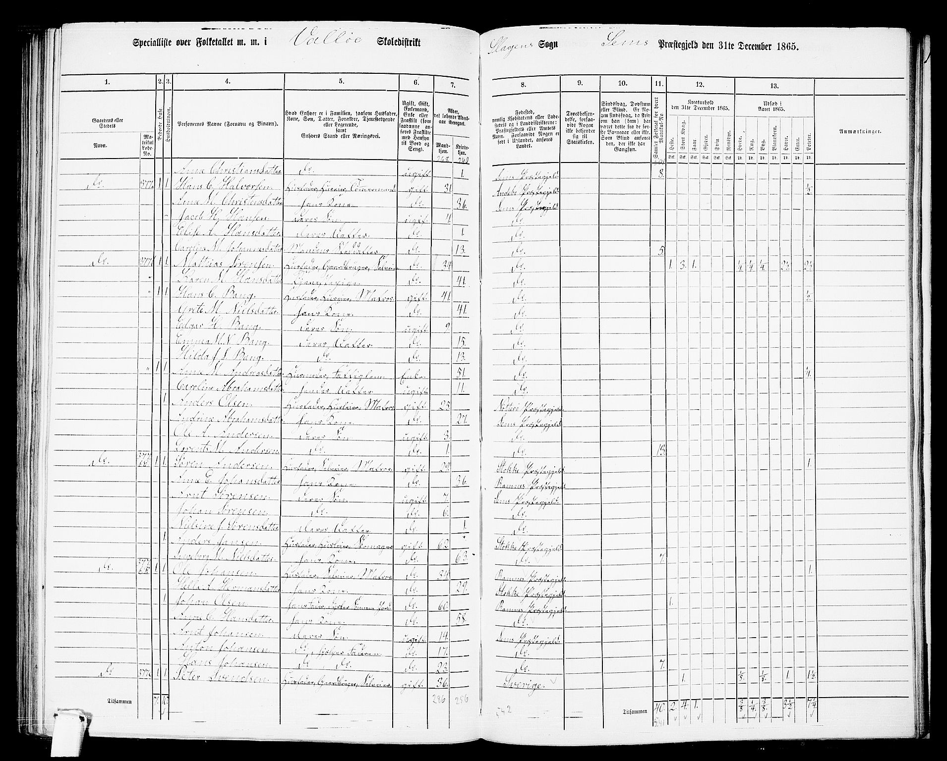 RA, 1865 census for Sem, 1865, p. 173