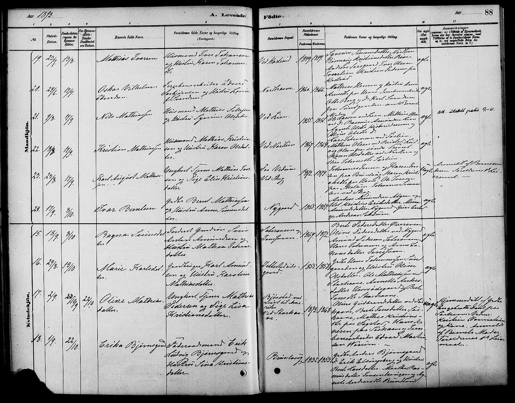 Fåberg prestekontor, AV/SAH-PREST-086/H/Ha/Haa/L0008: Parish register (official) no. 8, 1879-1898, p. 88