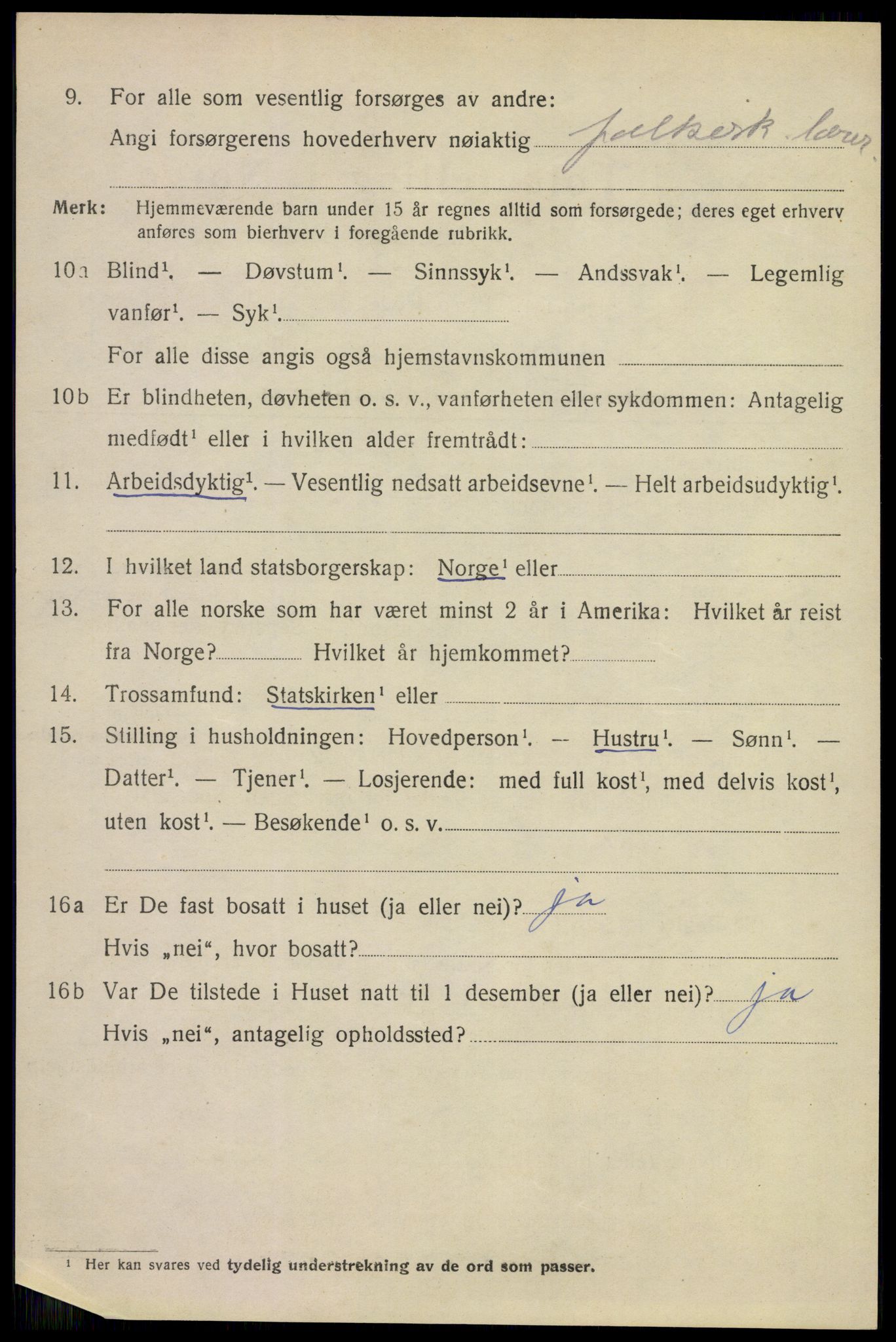 SAKO, 1920 census for Larvik, 1920, p. 13641