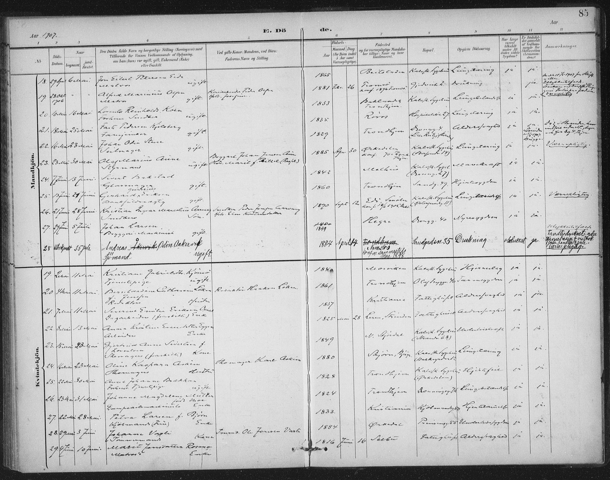 Ministerialprotokoller, klokkerbøker og fødselsregistre - Sør-Trøndelag, SAT/A-1456/602/L0123: Parish register (official) no. 602A21, 1895-1910, p. 85