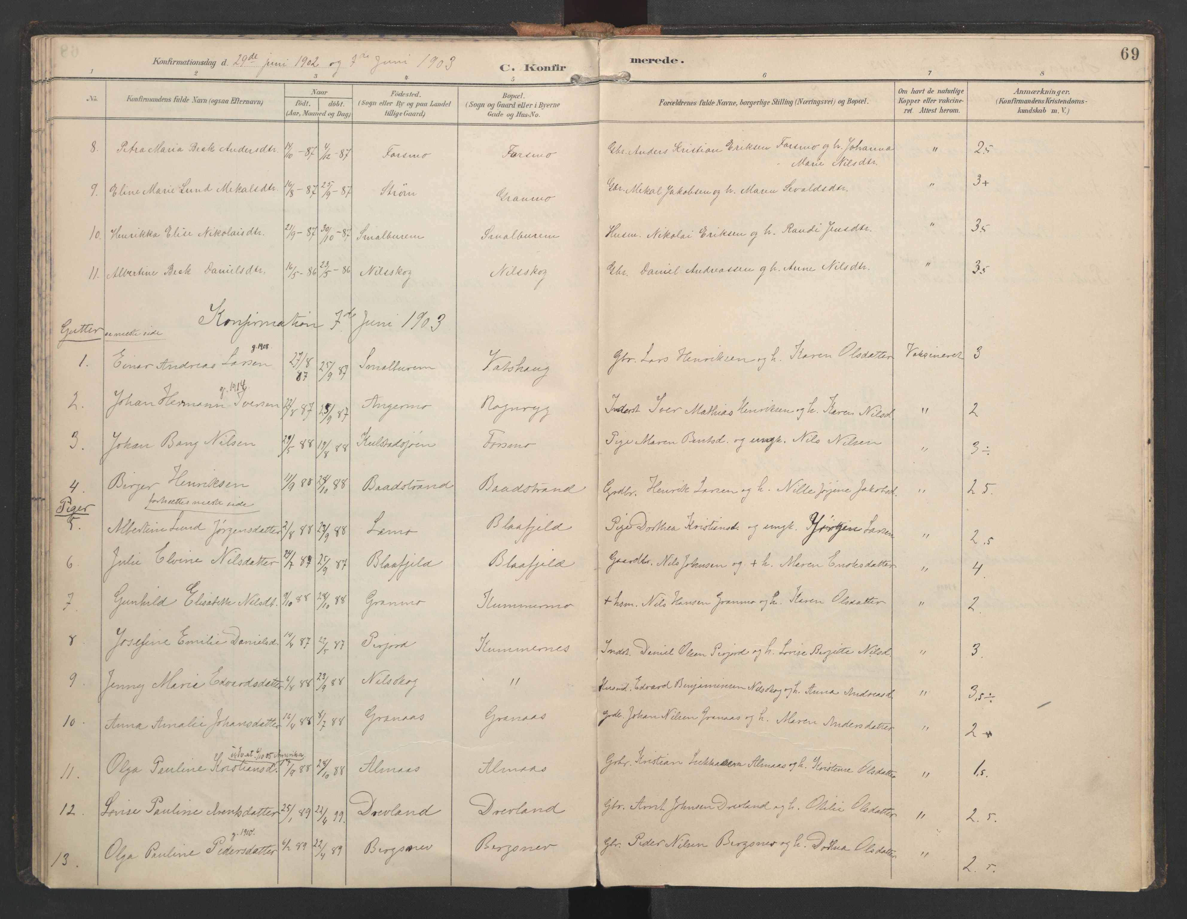 Ministerialprotokoller, klokkerbøker og fødselsregistre - Nordland, SAT/A-1459/821/L0317: Parish register (official) no. 821A01, 1892-1907, p. 69