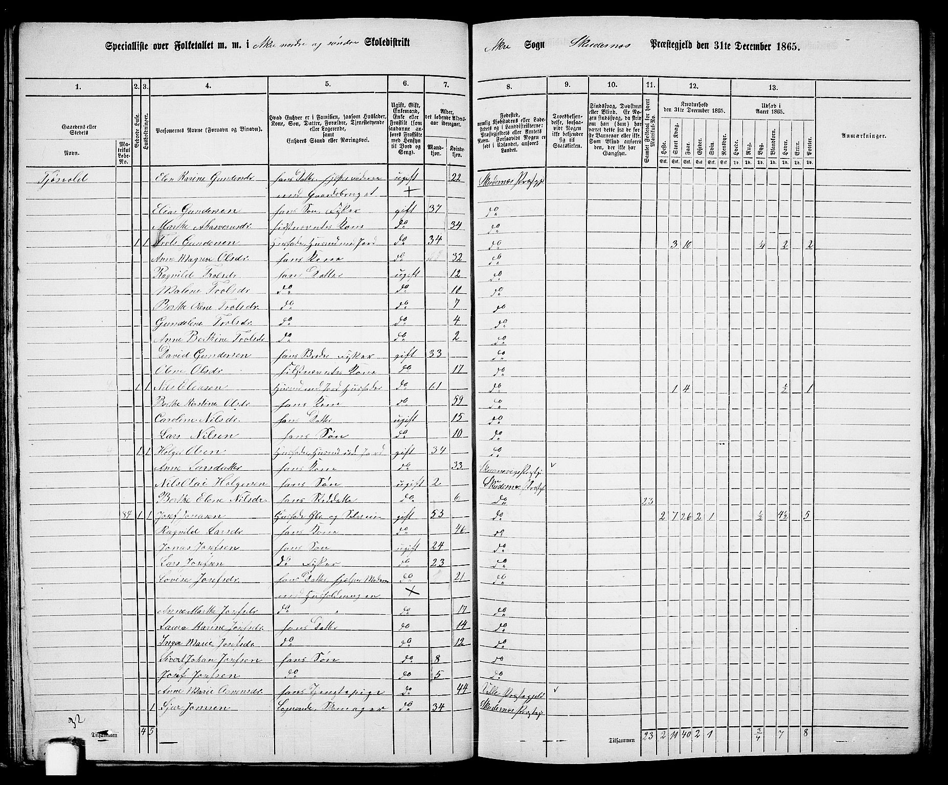 RA, 1865 census for Skudenes, 1865, p. 47