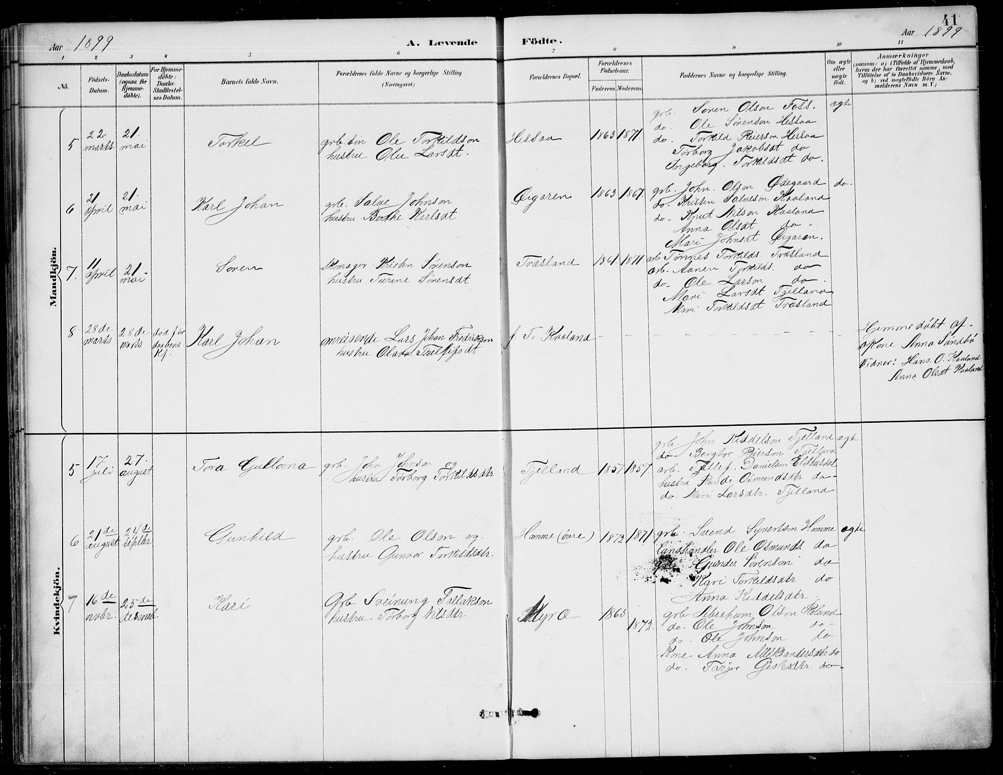 Bjelland sokneprestkontor, AV/SAK-1111-0005/F/Fb/Fba/L0005: Parish register (copy) no. B 5, 1887-1923, p. 41