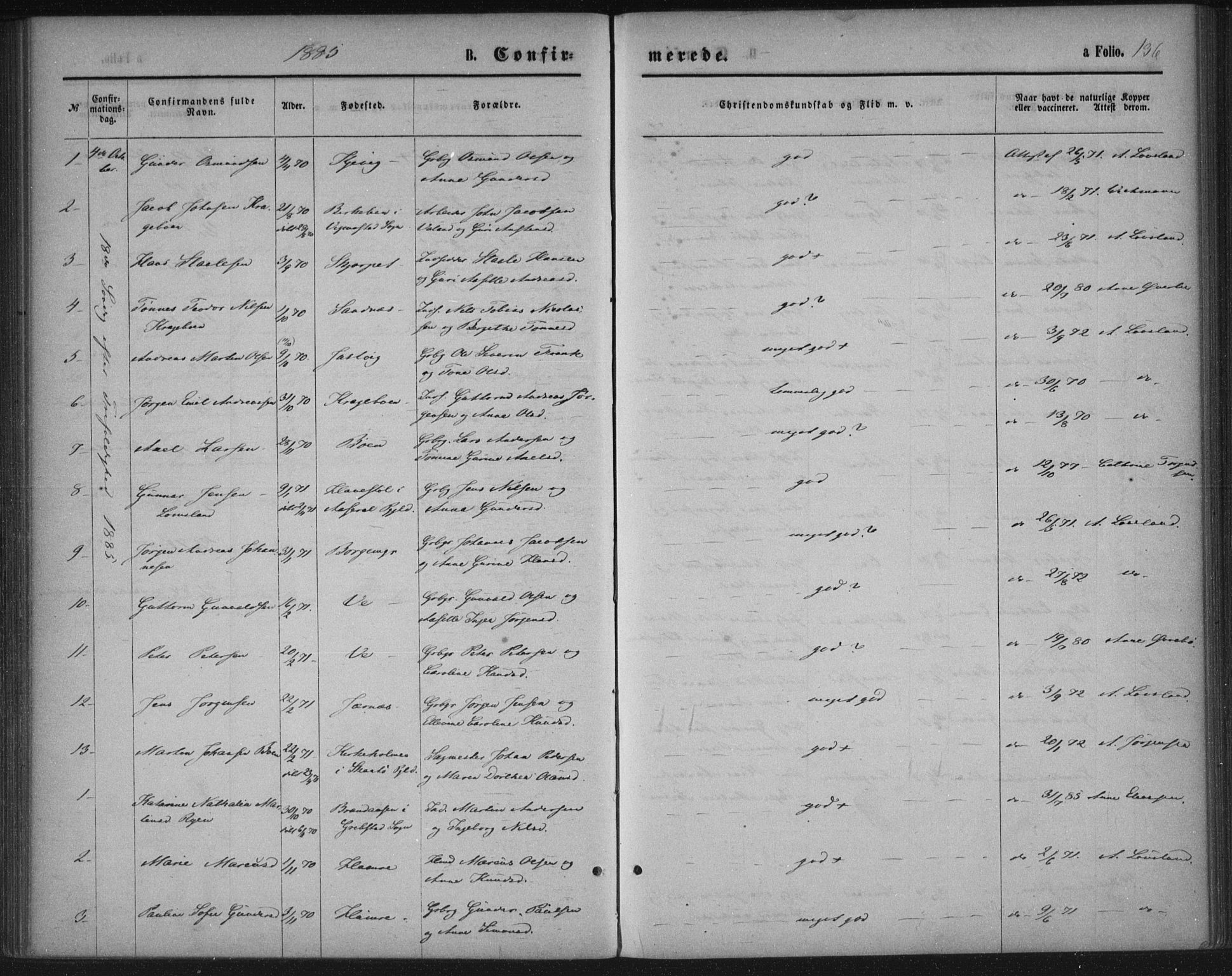 Tveit sokneprestkontor, SAK/1111-0043/F/Fa/L0006: Parish register (official) no. A 6, 1872-1886, p. 136