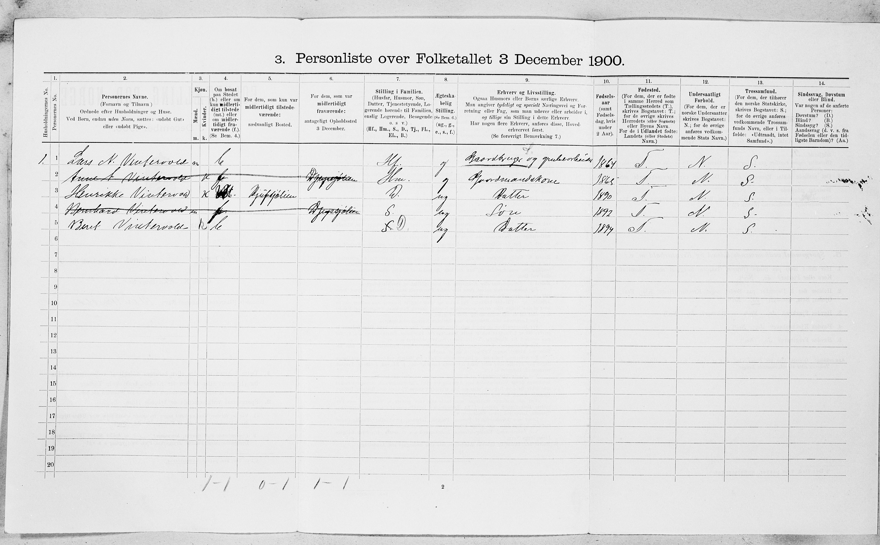 SAT, 1900 census for Røros, 1900, p. 1019