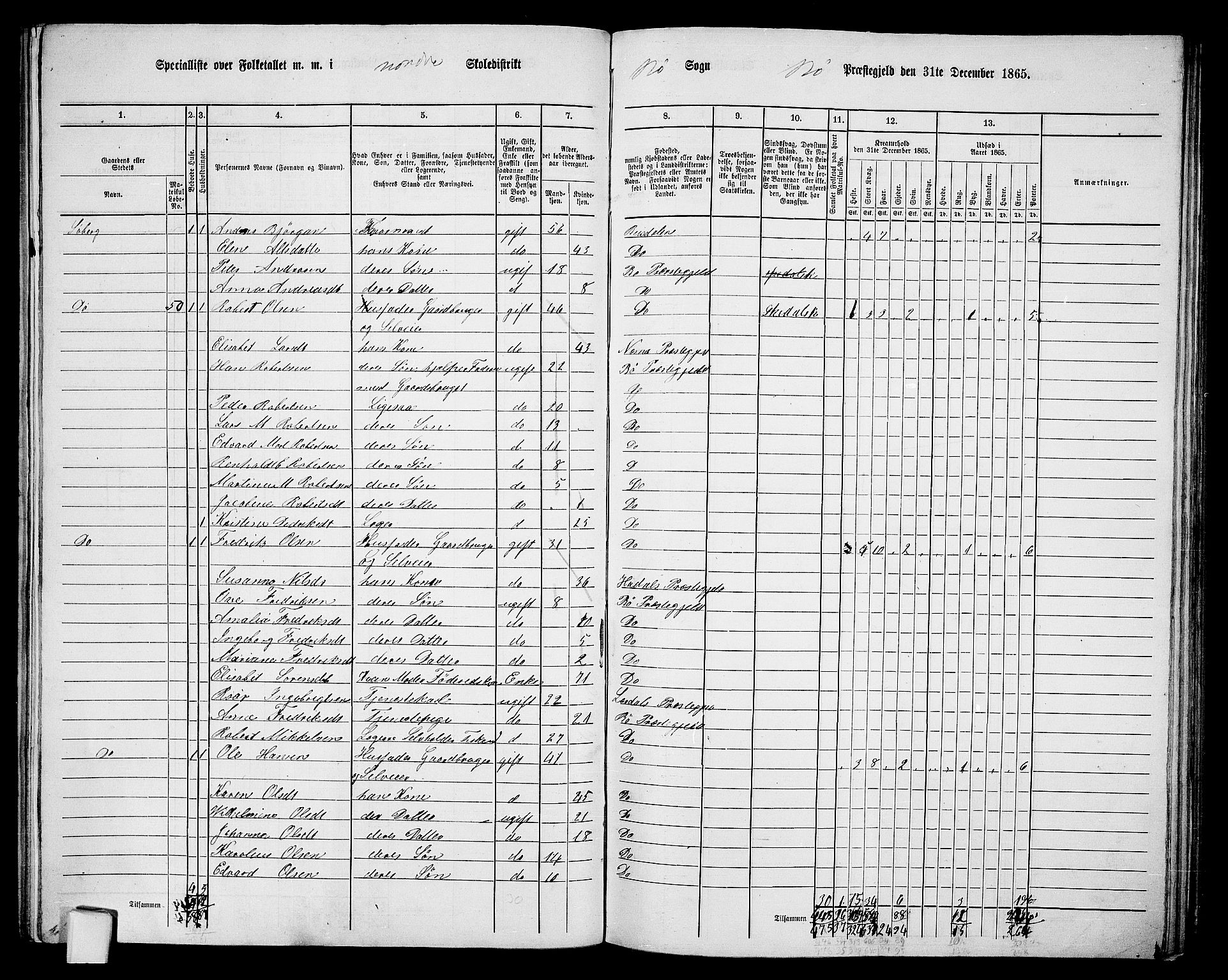 RA, 1865 census for Bø, 1865, p. 24