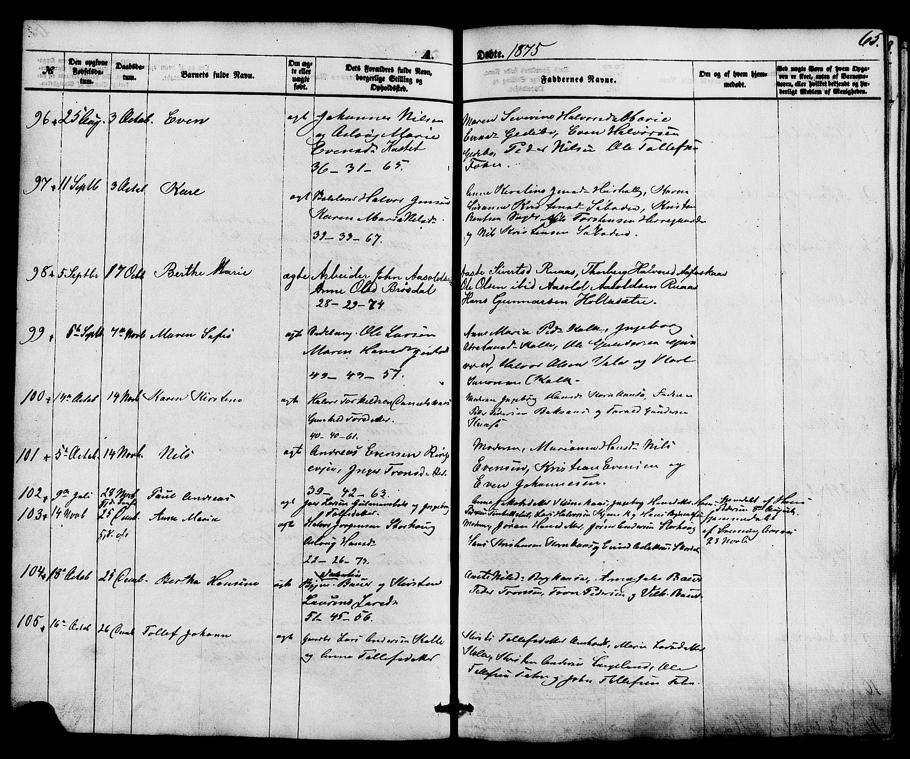 Holla kirkebøker, SAKO/A-272/F/Fa/L0007: Parish register (official) no. 7, 1869-1881, p. 65