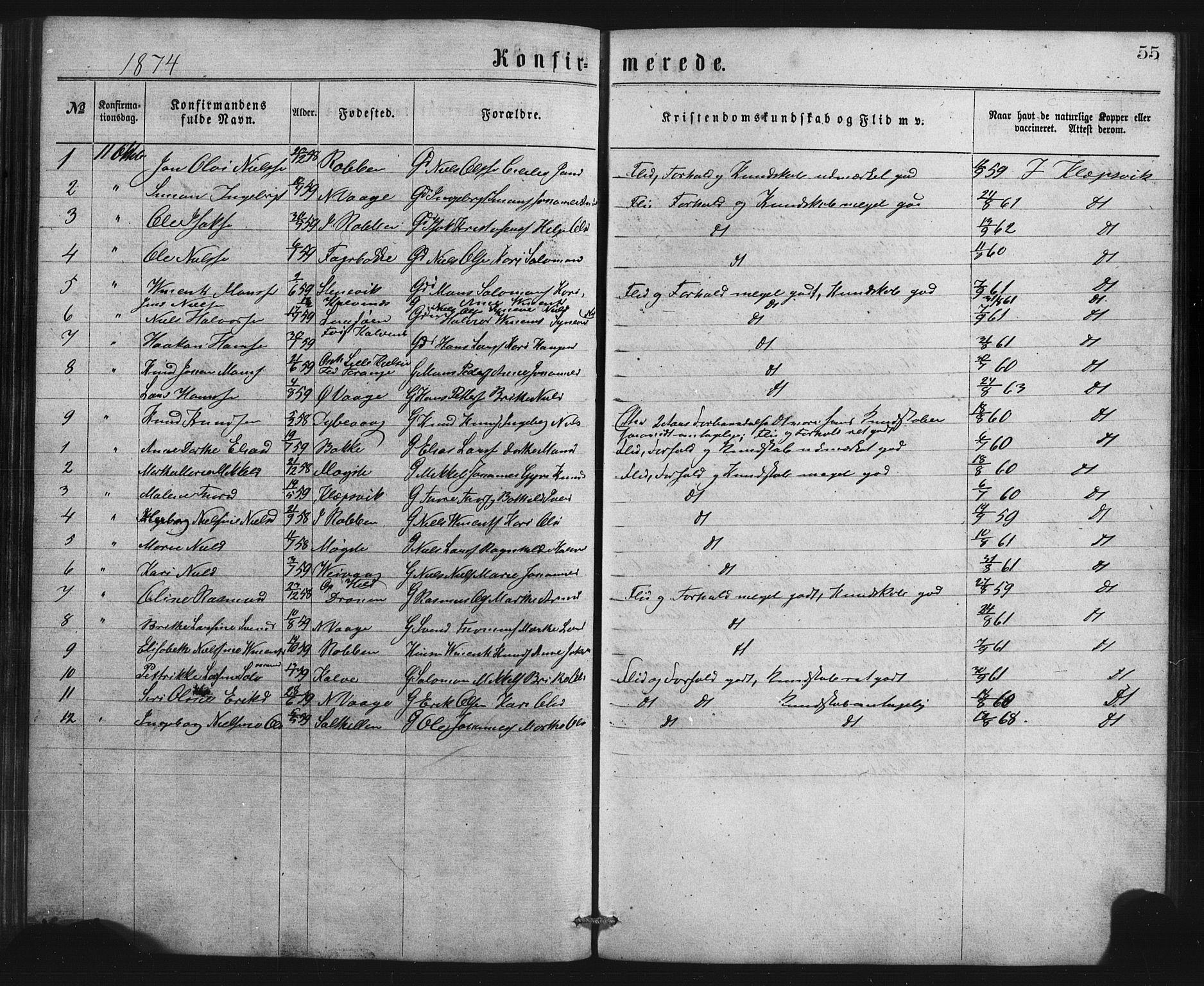 Austevoll Sokneprestembete, SAB/A-74201/H/Hab: Parish register (copy) no. B 2, 1865-1878, p. 55