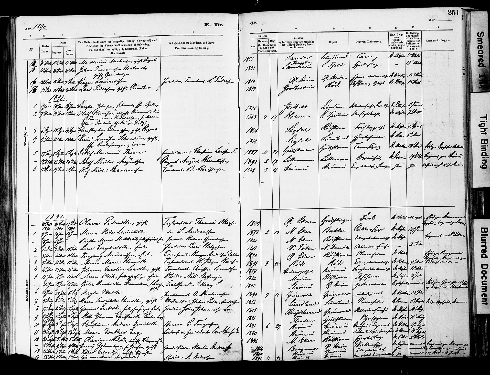 Strømsgodset kirkebøker, AV/SAKO-A-324/F/Fa/L0001: Parish register (official) no. 1, 1885-1909, p. 251