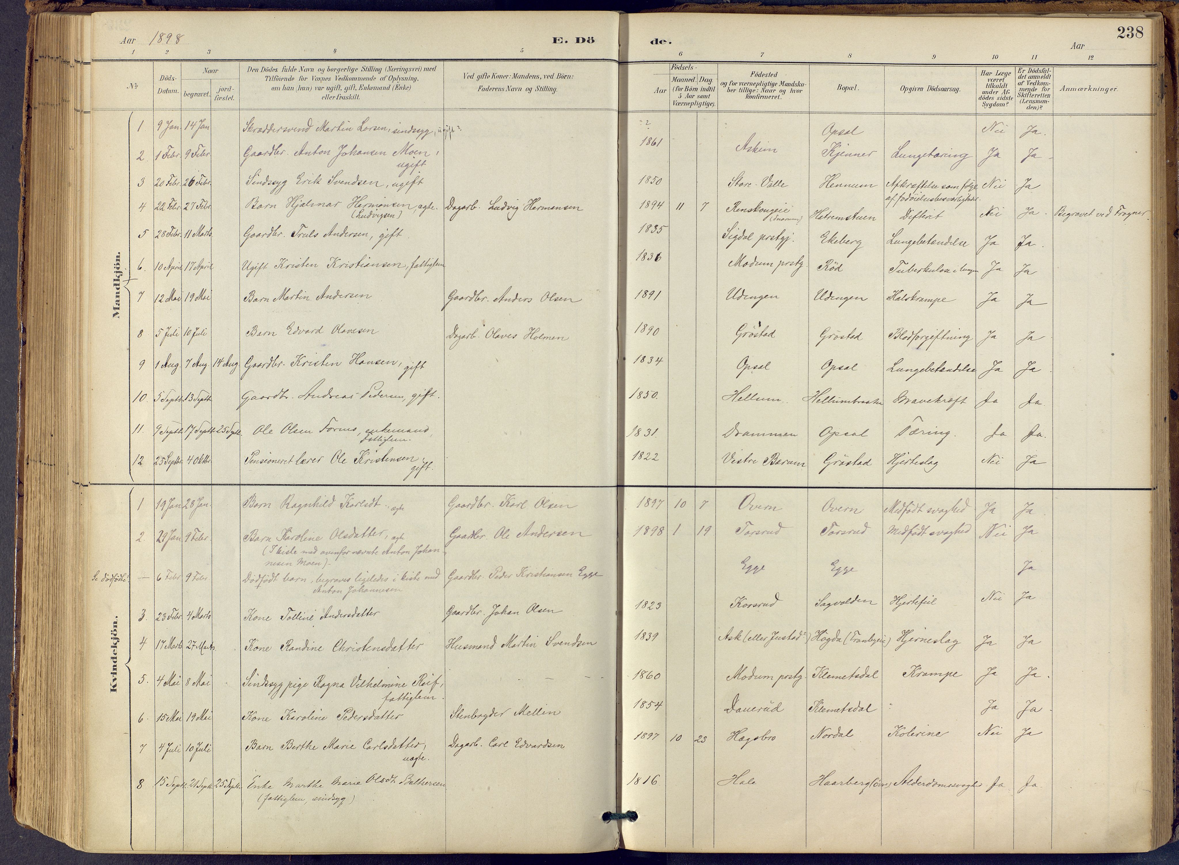 Lier kirkebøker, AV/SAKO-A-230/F/Fb/L0001: Parish register (official) no. II 1, 1883-1910, p. 238