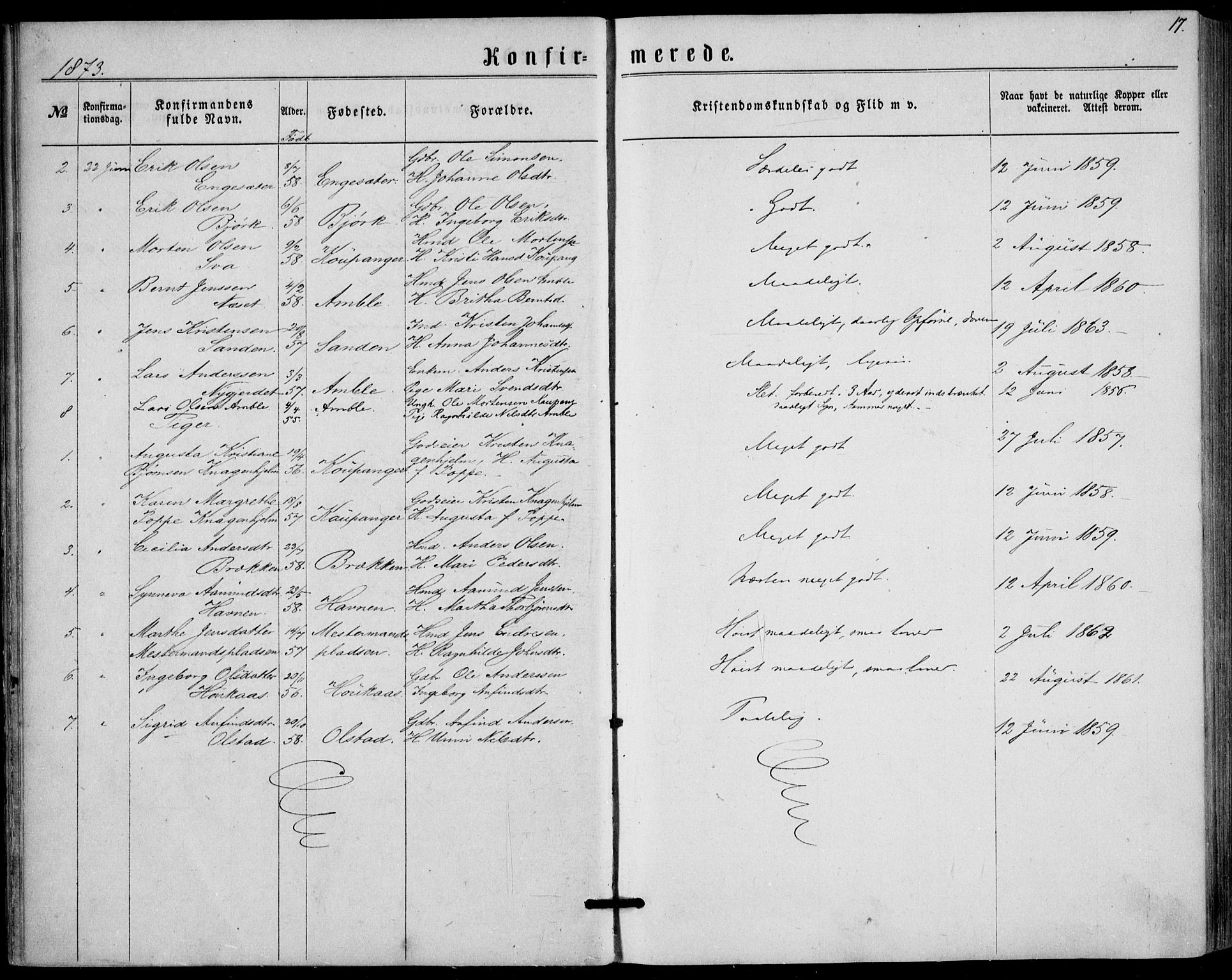 Sogndal sokneprestembete, SAB/A-81301/H/Haa/Haaa/L0015: Parish register (official) no. A 15, 1871-1904, p. 17