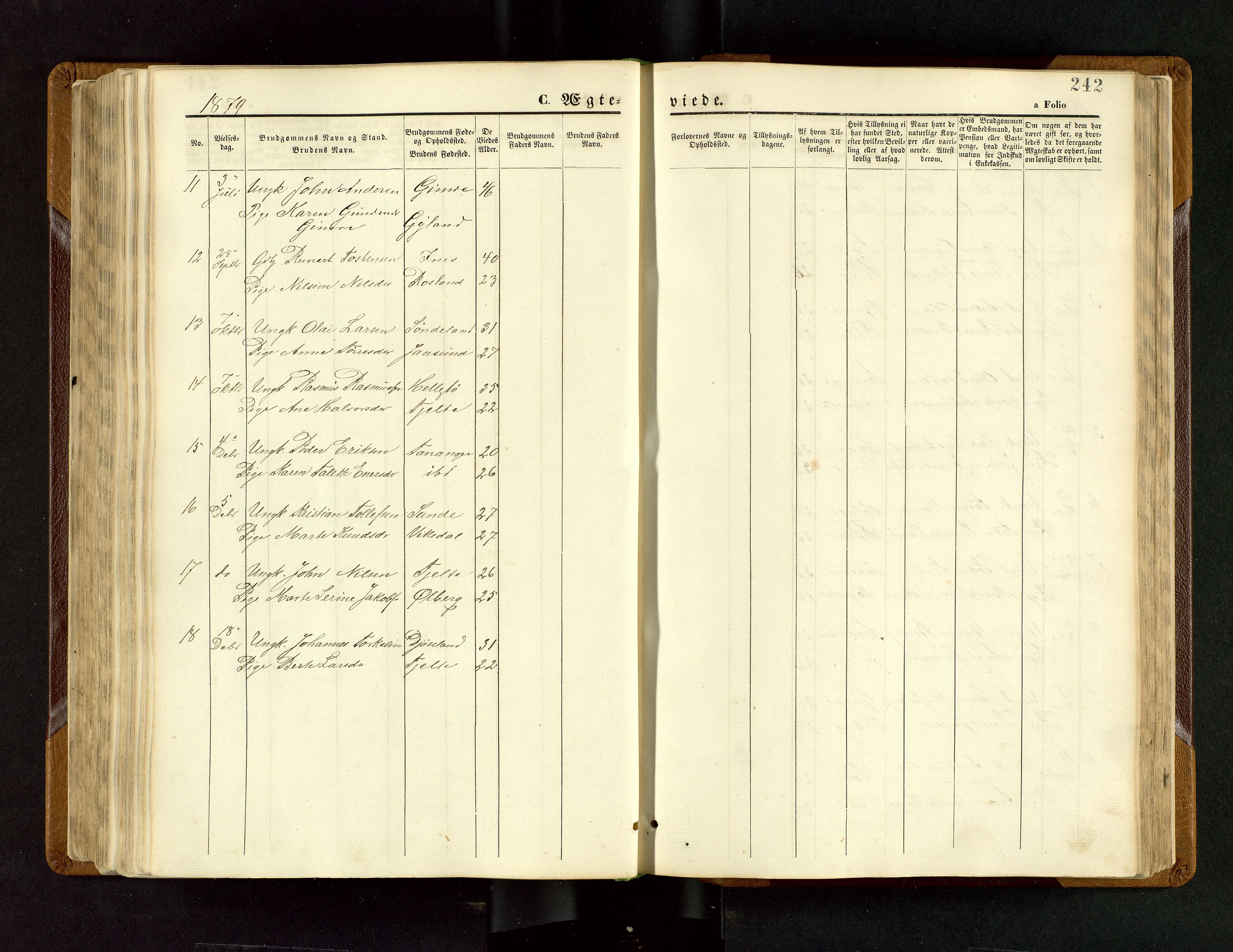 Håland sokneprestkontor, AV/SAST-A-101802/001/30BB/L0003: Parish register (copy) no. B 3, 1873-1893, p. 242