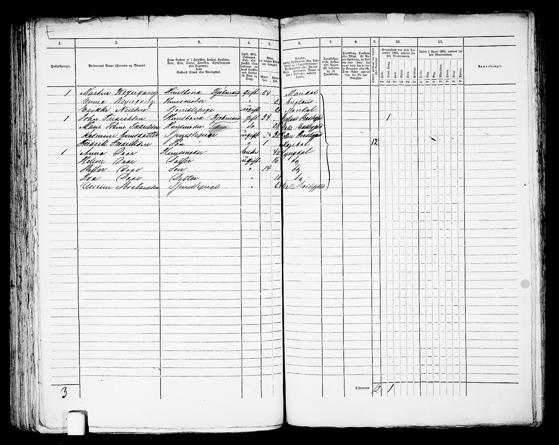 RA, 1865 census for Mandal/Mandal, 1865, p. 702