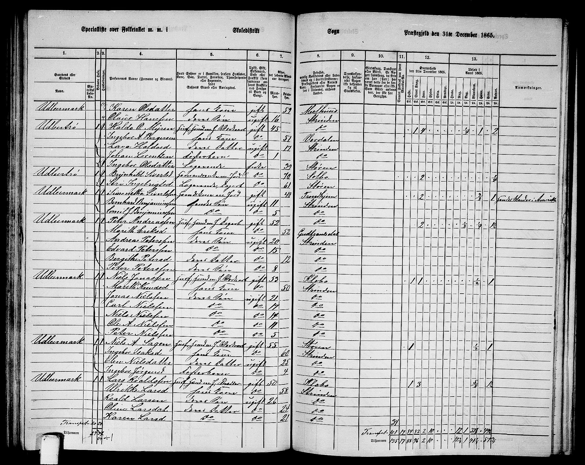 RA, 1865 census for Strinda, 1865, p. 124