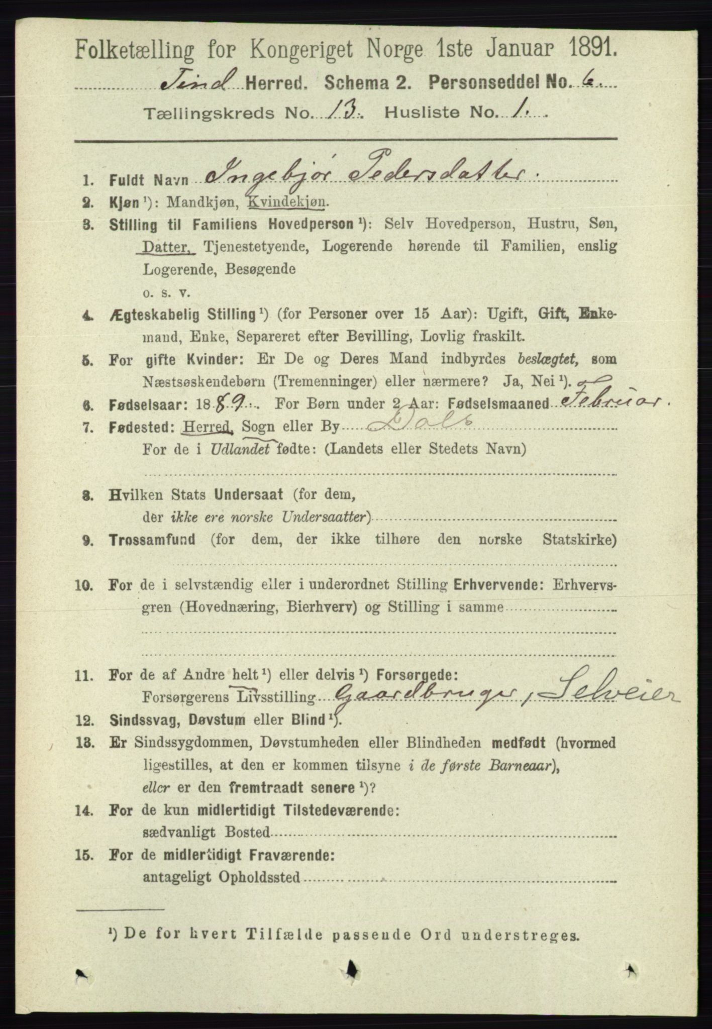 RA, 1891 census for 0826 Tinn, 1891, p. 2665