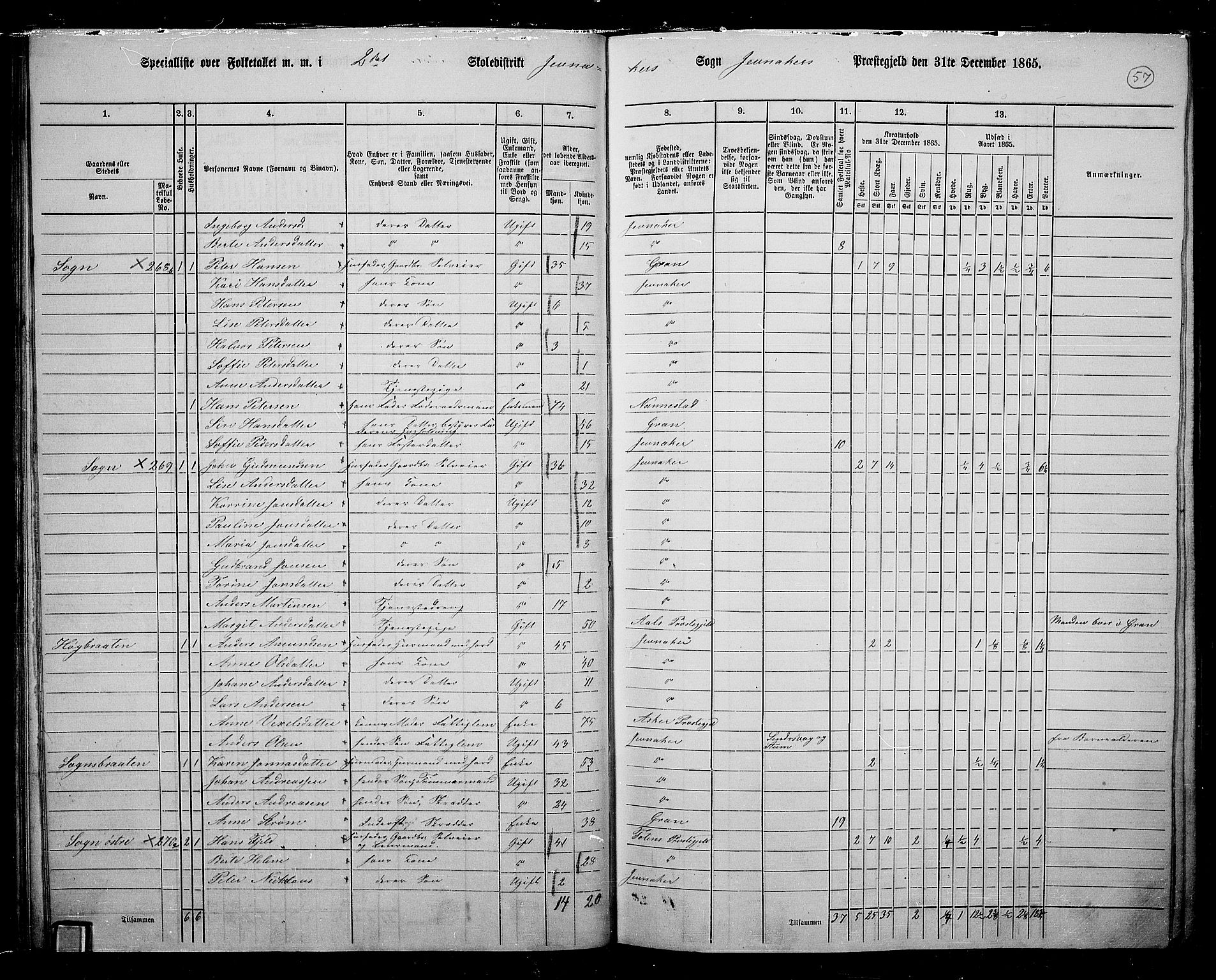 RA, 1865 census for Jevnaker, 1865, p. 55