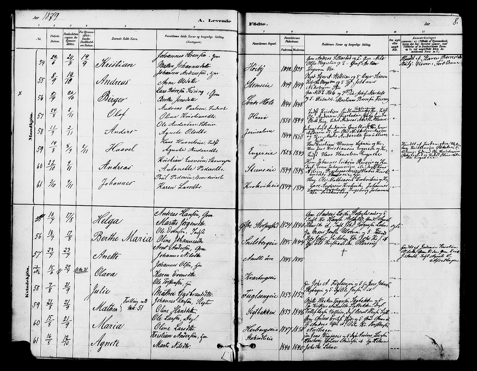 Ringsaker prestekontor, AV/SAH-PREST-014/L/La/L0009: Parish register (copy) no. 9, 1879-1890, p. 8