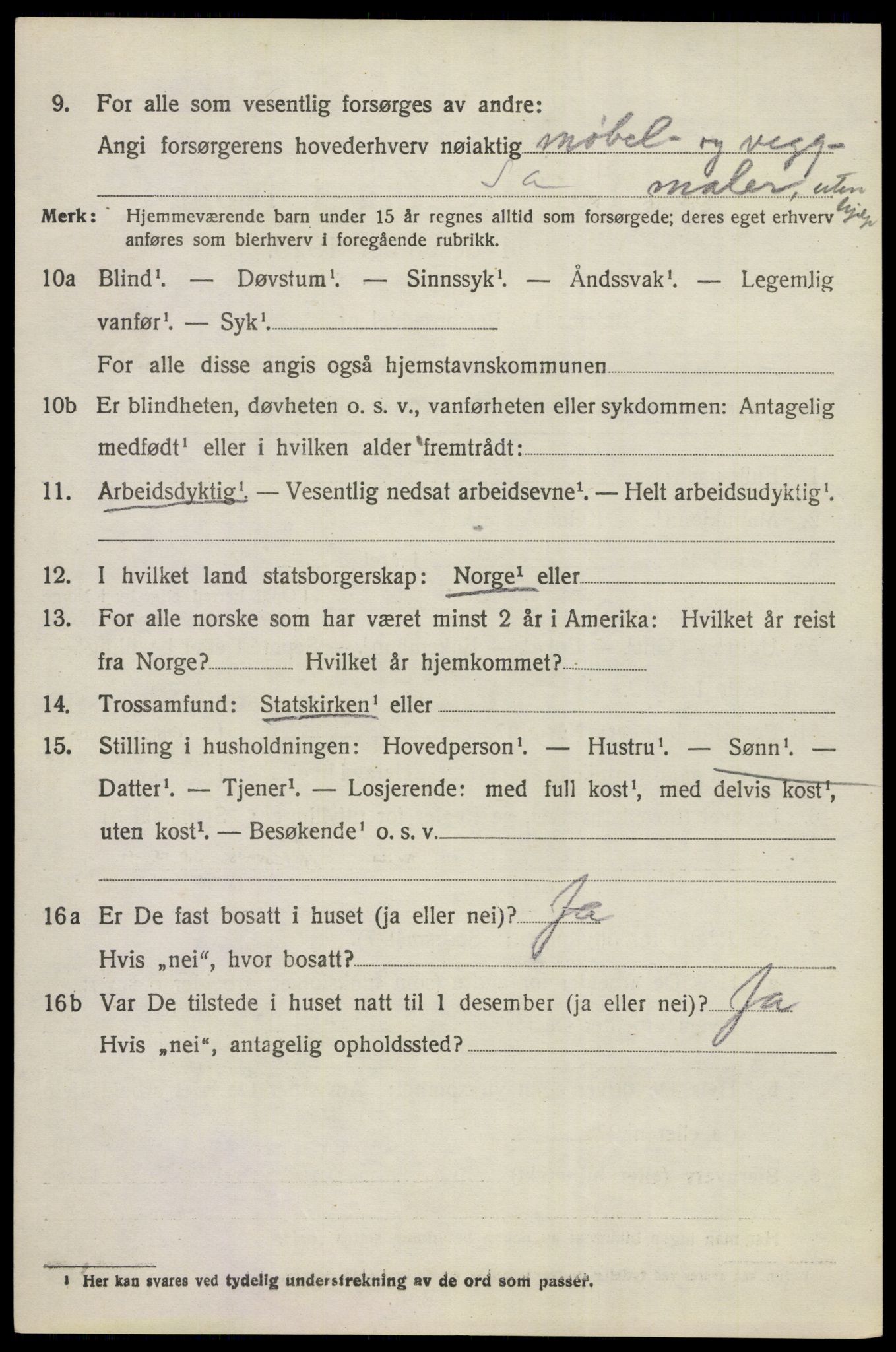 SAKO, 1920 census for Norderhov, 1920, p. 20335