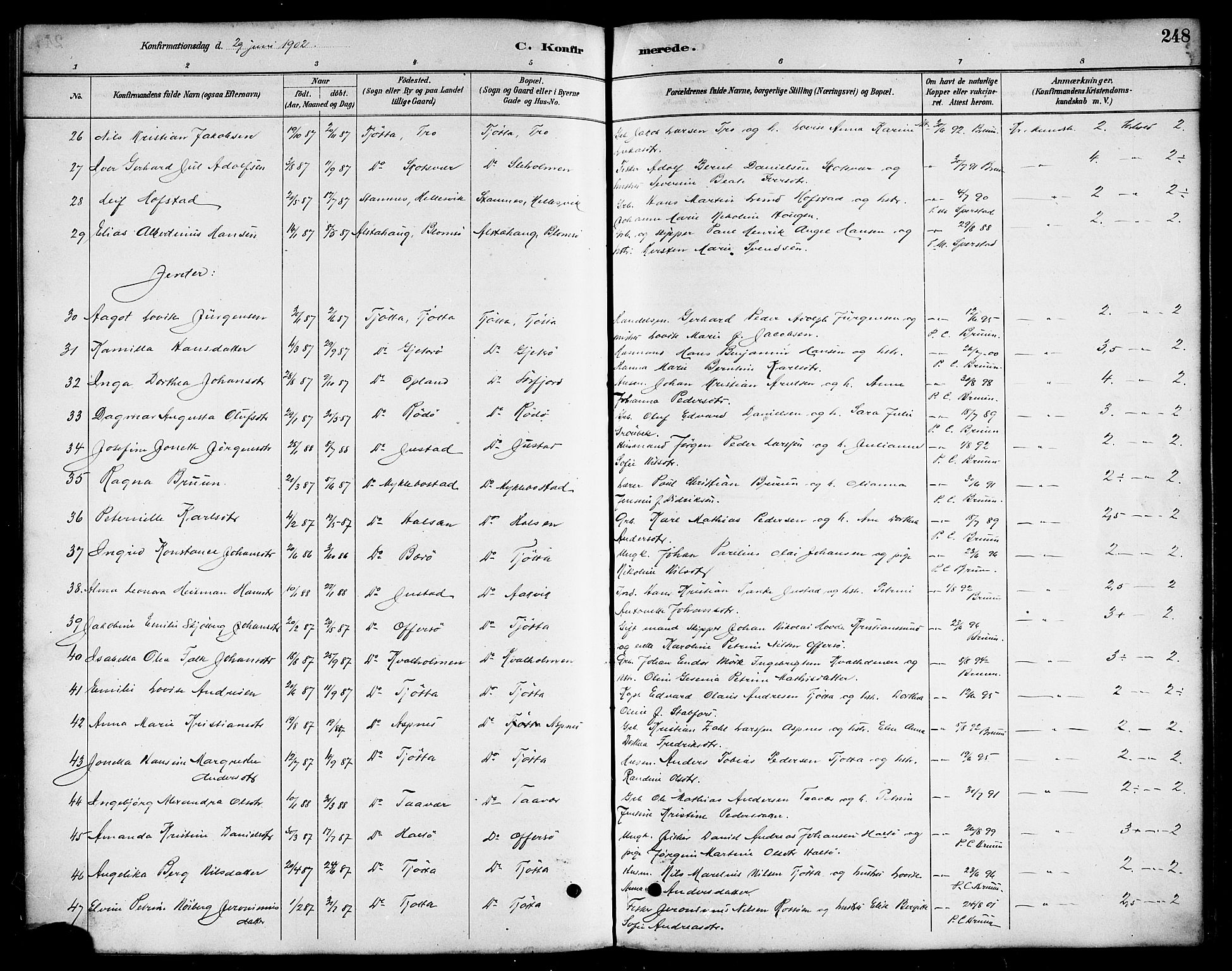 Ministerialprotokoller, klokkerbøker og fødselsregistre - Nordland, AV/SAT-A-1459/817/L0268: Parish register (copy) no. 817C03, 1884-1920, p. 248