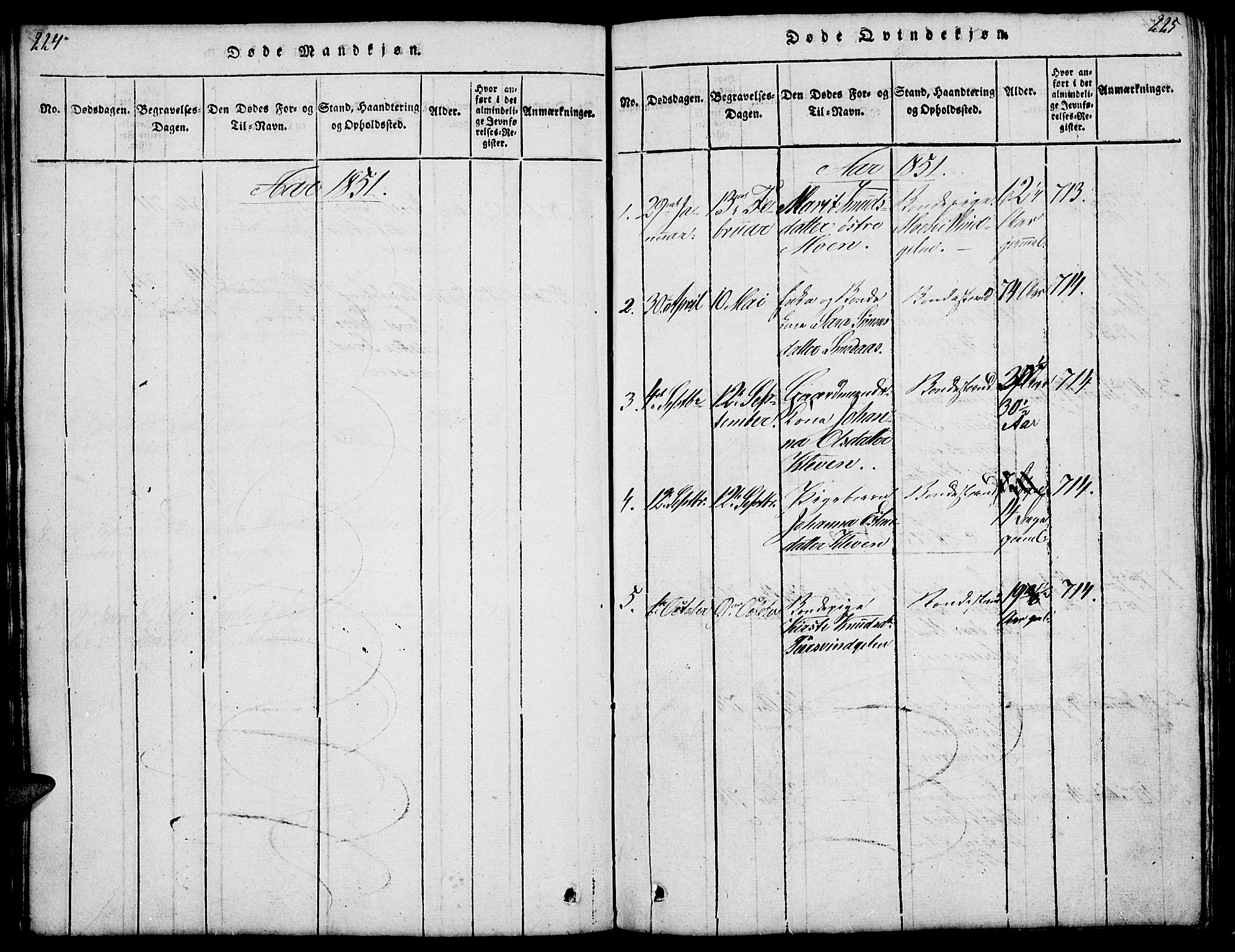 Tolga prestekontor, SAH/PREST-062/L/L0003: Parish register (copy) no. 3, 1815-1862, p. 224-225