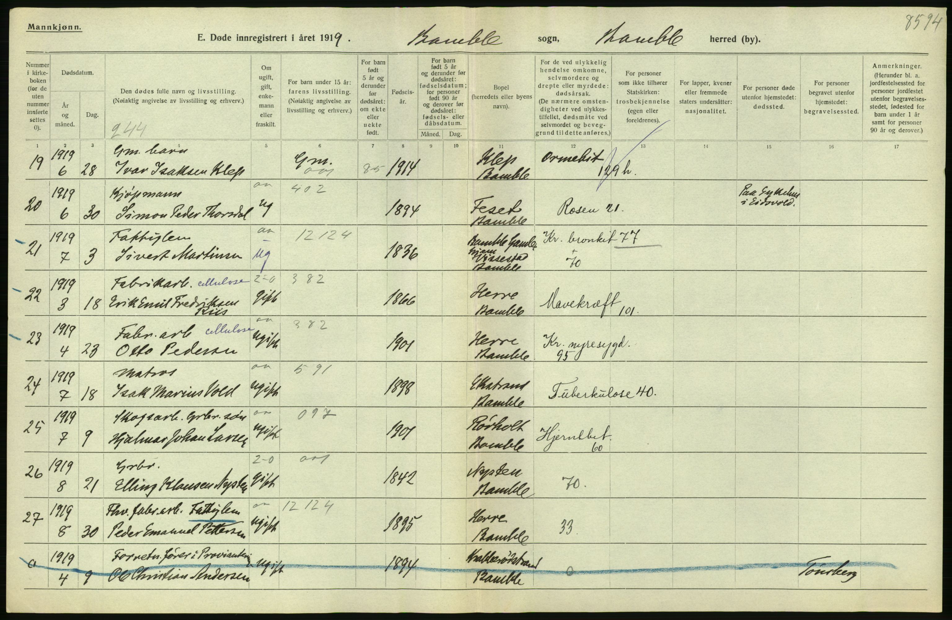 Statistisk sentralbyrå, Sosiodemografiske emner, Befolkning, AV/RA-S-2228/D/Df/Dfb/Dfbi/L0023: Telemark fylke: Døde. Bygder og byer., 1919, p. 26