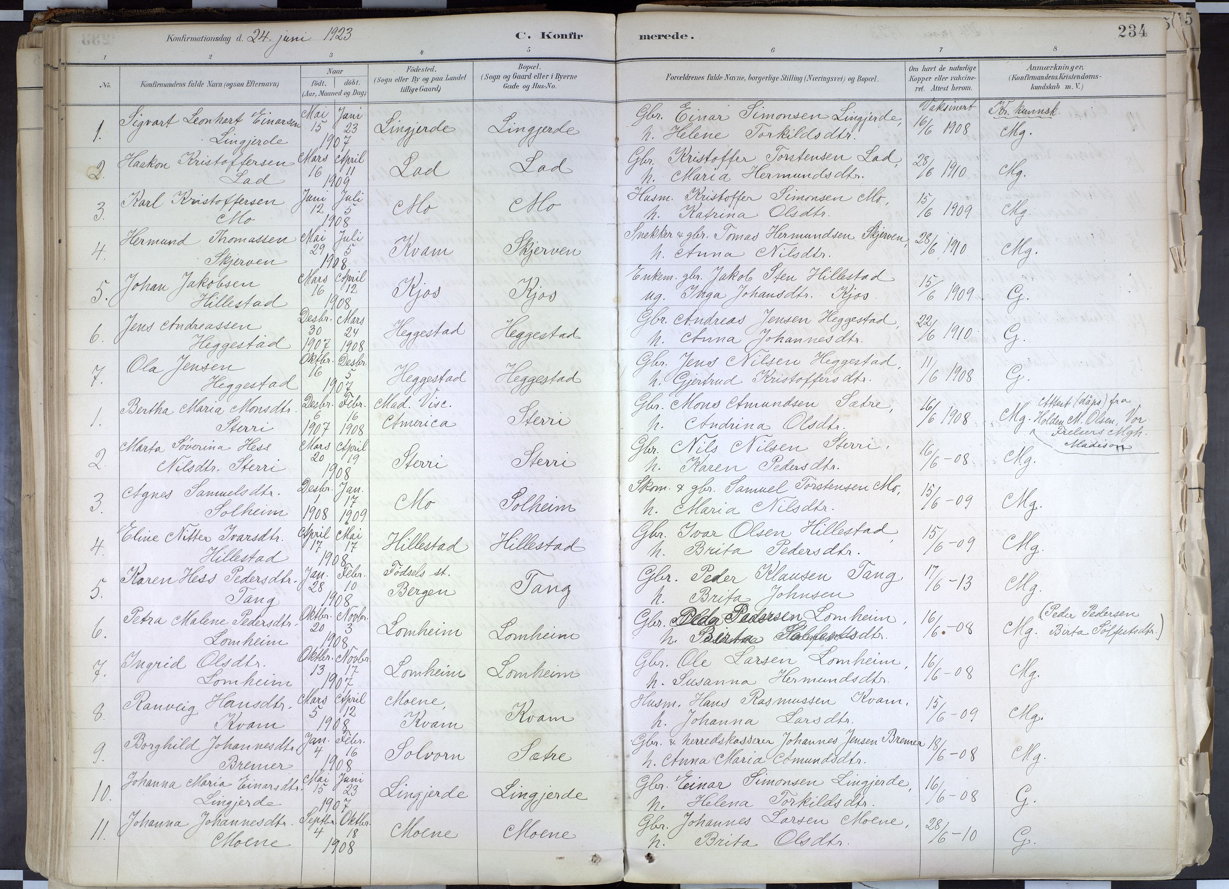 Hafslo sokneprestembete, AV/SAB-A-80301/H/Haa/Haab/L0001: Parish register (official) no. B 1, 1886-1945, p. 234