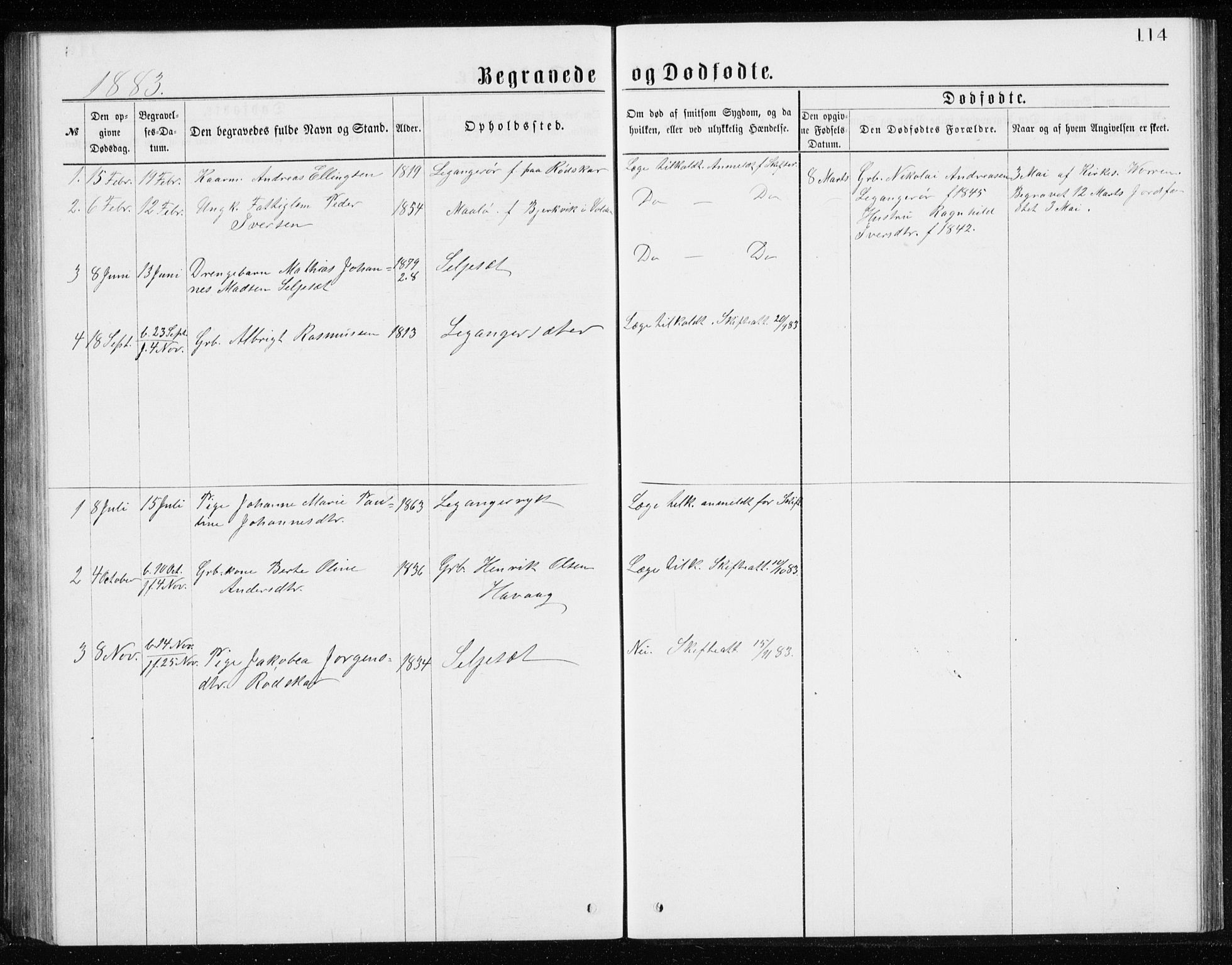 Ministerialprotokoller, klokkerbøker og fødselsregistre - Møre og Romsdal, AV/SAT-A-1454/508/L0097: Parish register (copy) no. 508C01, 1873-1897, p. 114