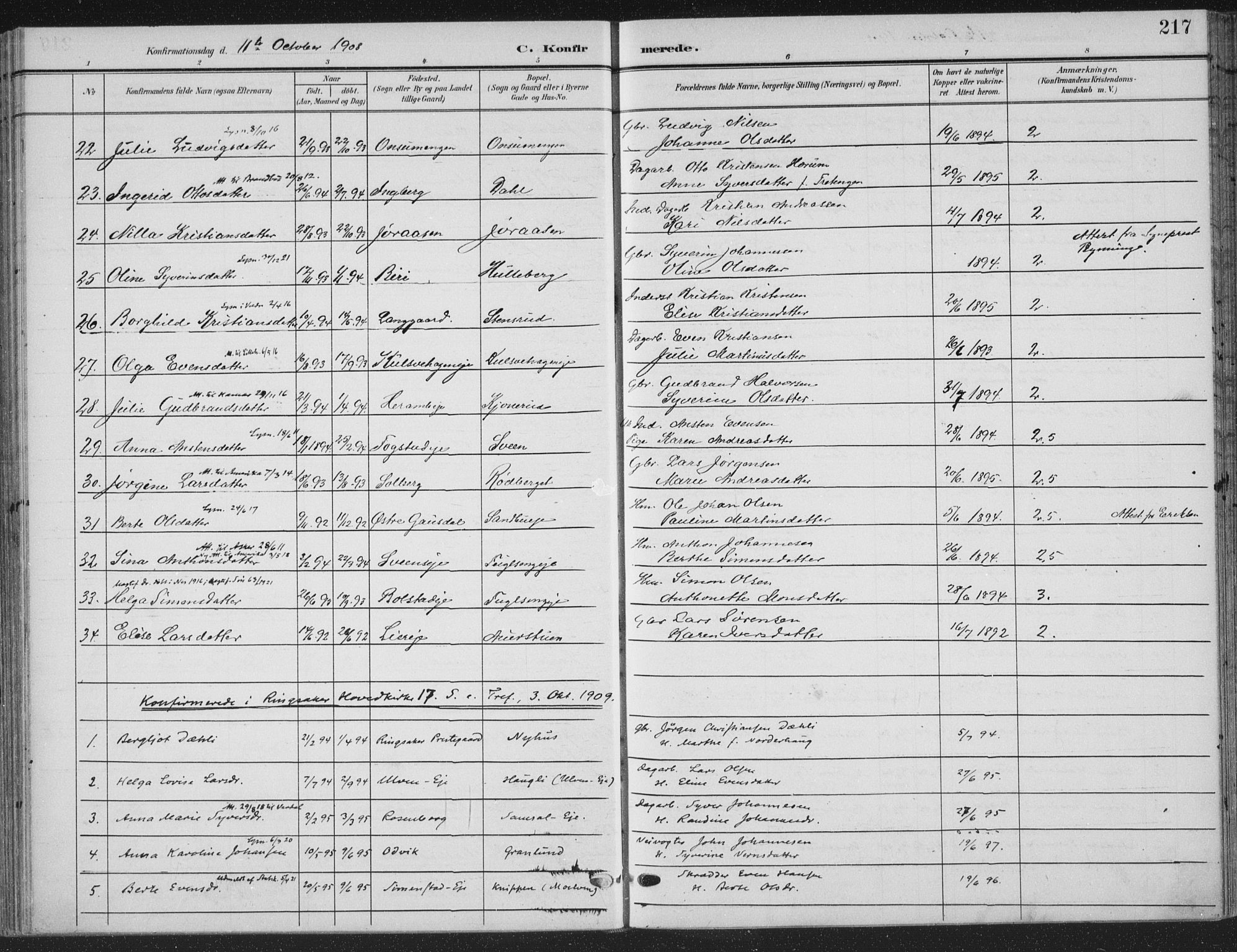 Ringsaker prestekontor, SAH/PREST-014/K/Ka/L0018: Parish register (official) no. 18, 1903-1912, p. 217