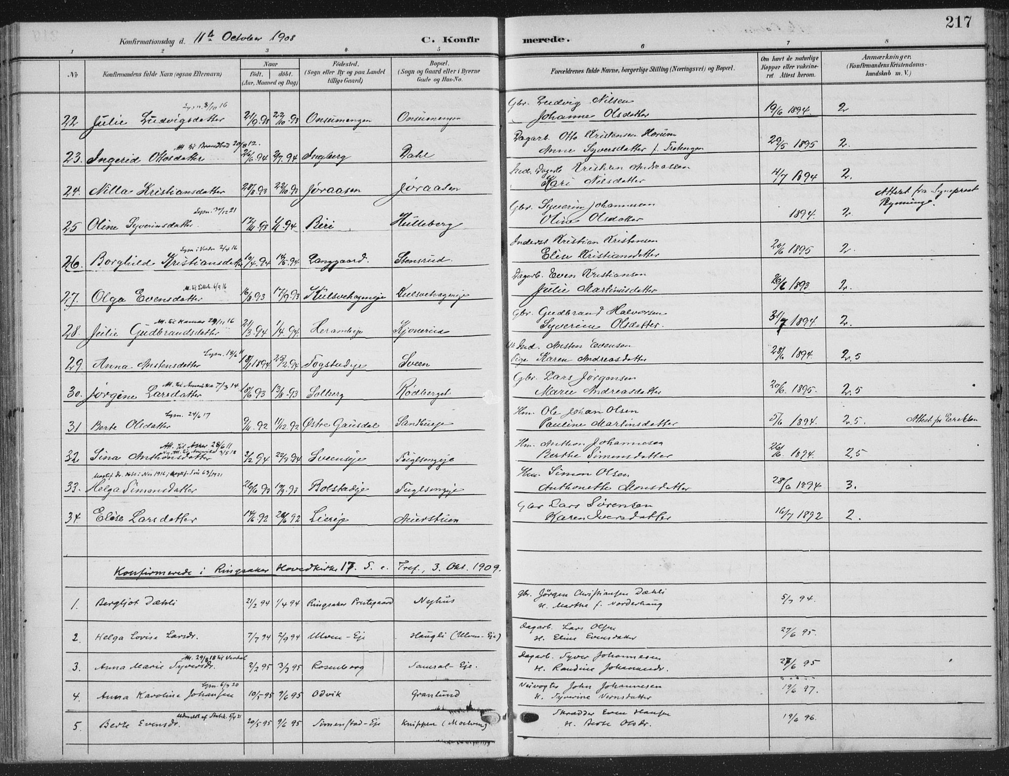 Ringsaker prestekontor, AV/SAH-PREST-014/K/Ka/L0018: Parish register (official) no. 18, 1903-1912, p. 217
