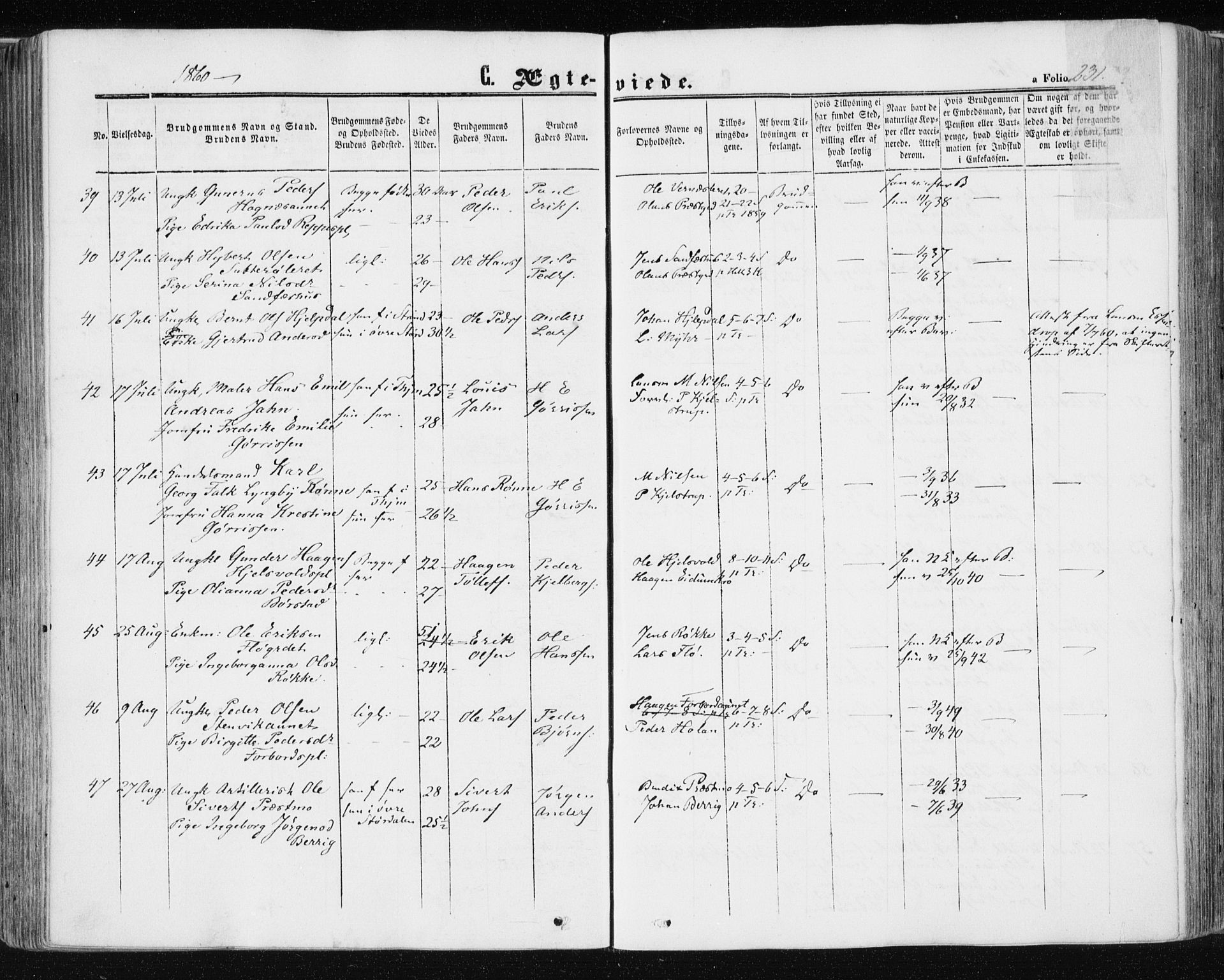 Ministerialprotokoller, klokkerbøker og fødselsregistre - Nord-Trøndelag, AV/SAT-A-1458/709/L0075: Parish register (official) no. 709A15, 1859-1870, p. 231